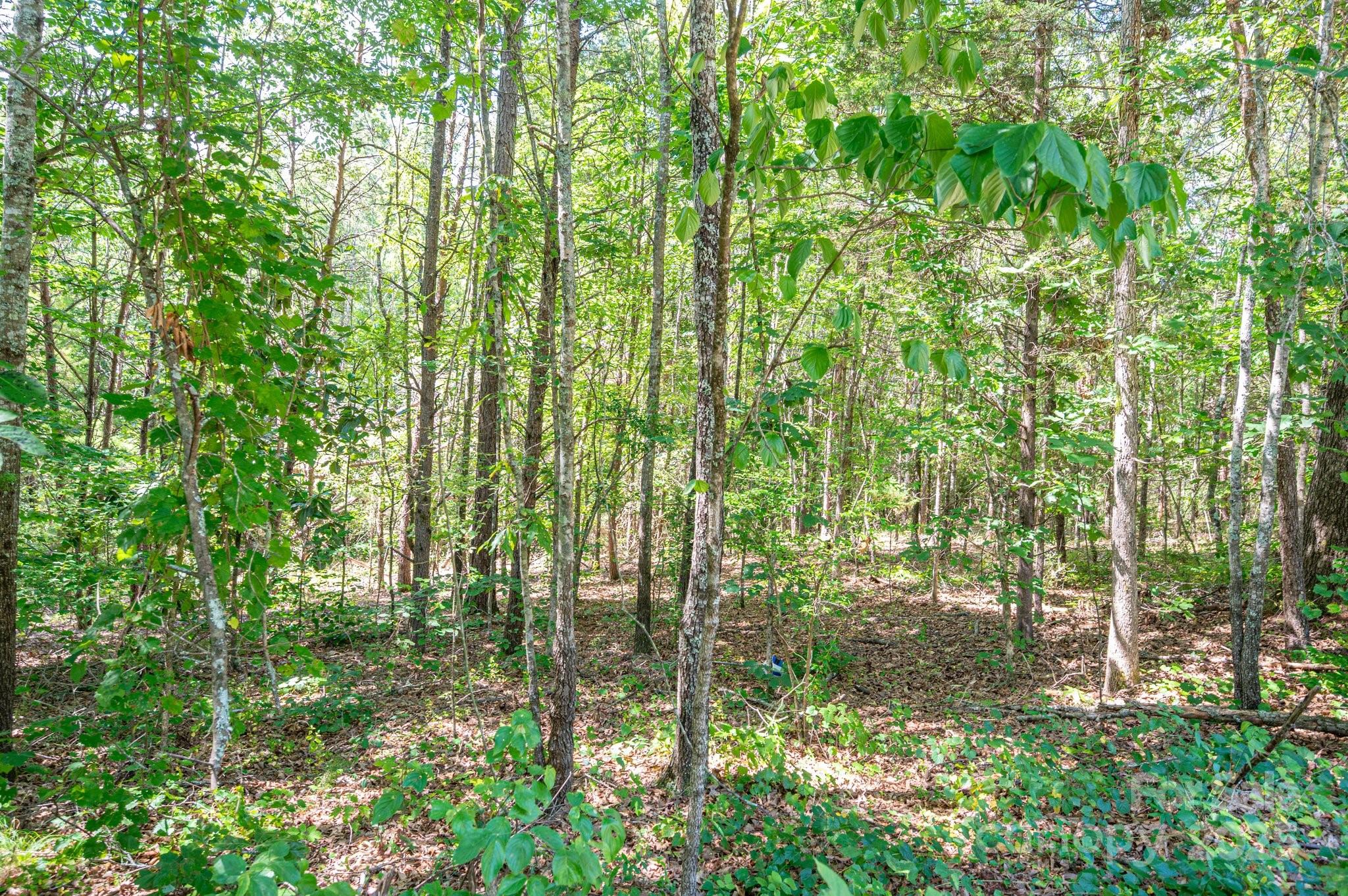 Westbrook Acres – Bring your own builder or ask about ours! This historically rich cul-de-sac community offers peaceful living just 5 min from downtown Rutherfordton, 4 min to R-S Central High, and 6 min to Rutherford Regional Health. Centrally located—only 20 min to Forest City, Tryon International Equestrian Center, and Cleghorn Golf & Sports Club, and within 1 hour of Asheville, Hendersonville, and Charlotte. Approx. 0.5 to 1+ acre wooded lots with city water and underground utilities. Septic needed. Located in the "Geo-thermal Belt" for a mild year-round climate—perfect for walking the Purple Martin Trail or enjoying local festivals, concerts, camping, and equestrian events.