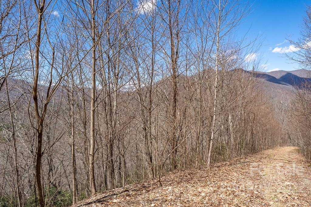 BARTLETT MOUNTAIN VIEWS - Land