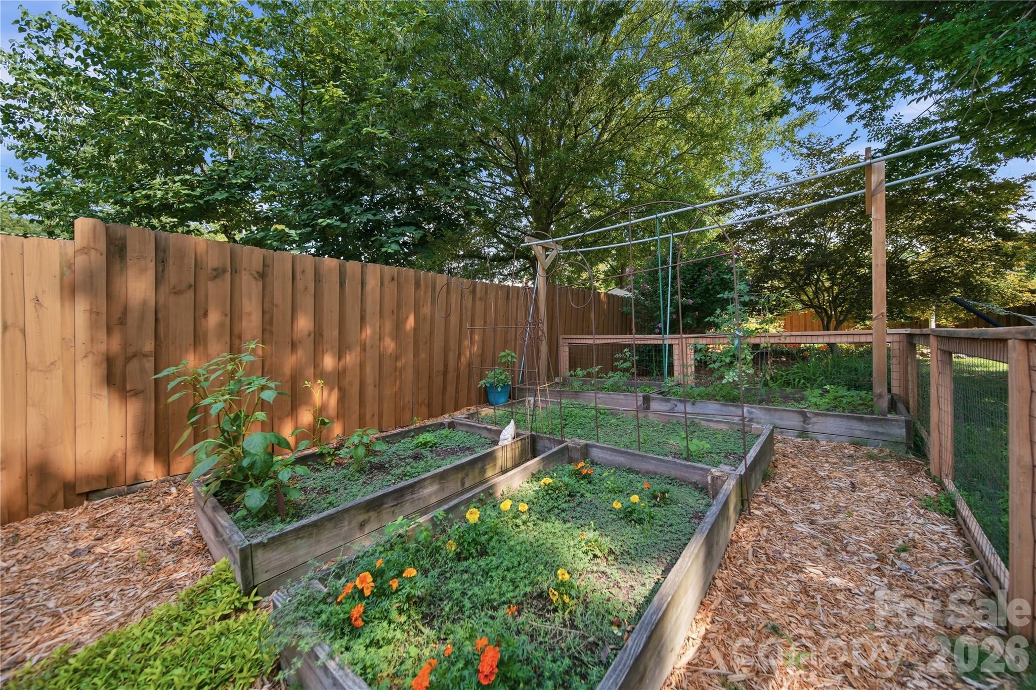 Reigate - Residential