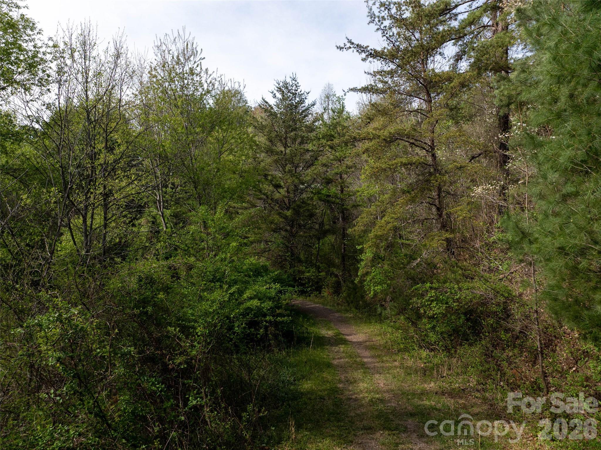 Hyder Mountain Acres - Land