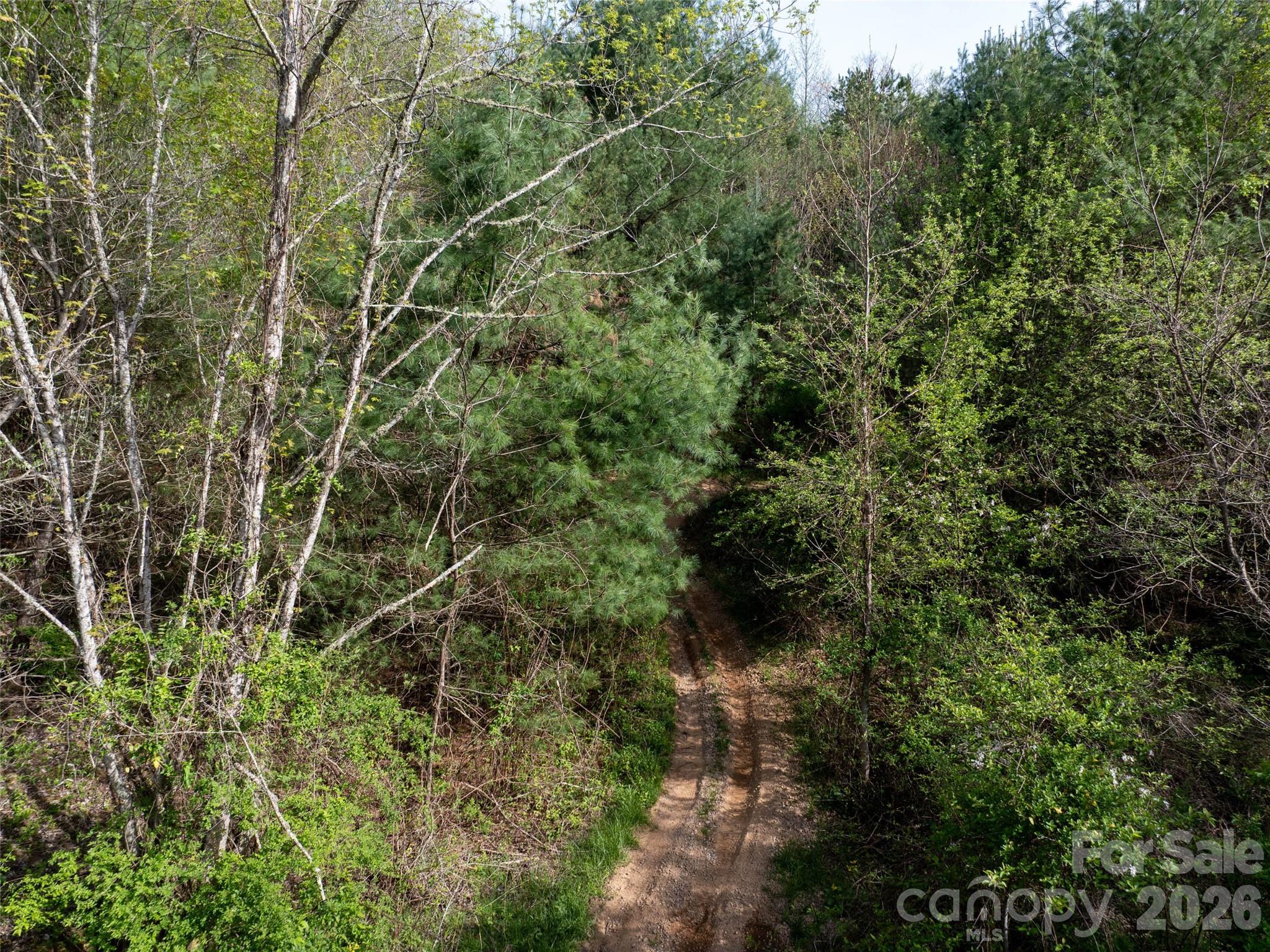 Hyder Mountain Acres - Land