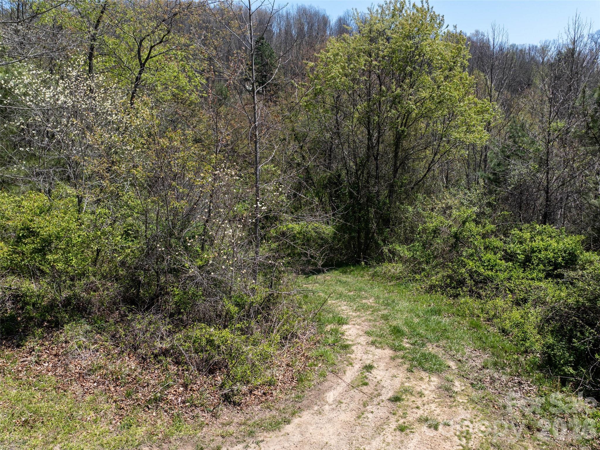 Hyder Mountain Acres - Land