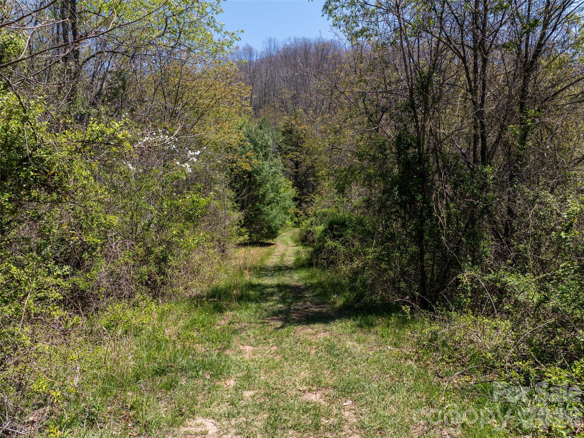 Hyder Mountain Acres - Land
