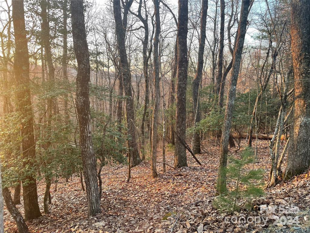Connestee Falls - Land