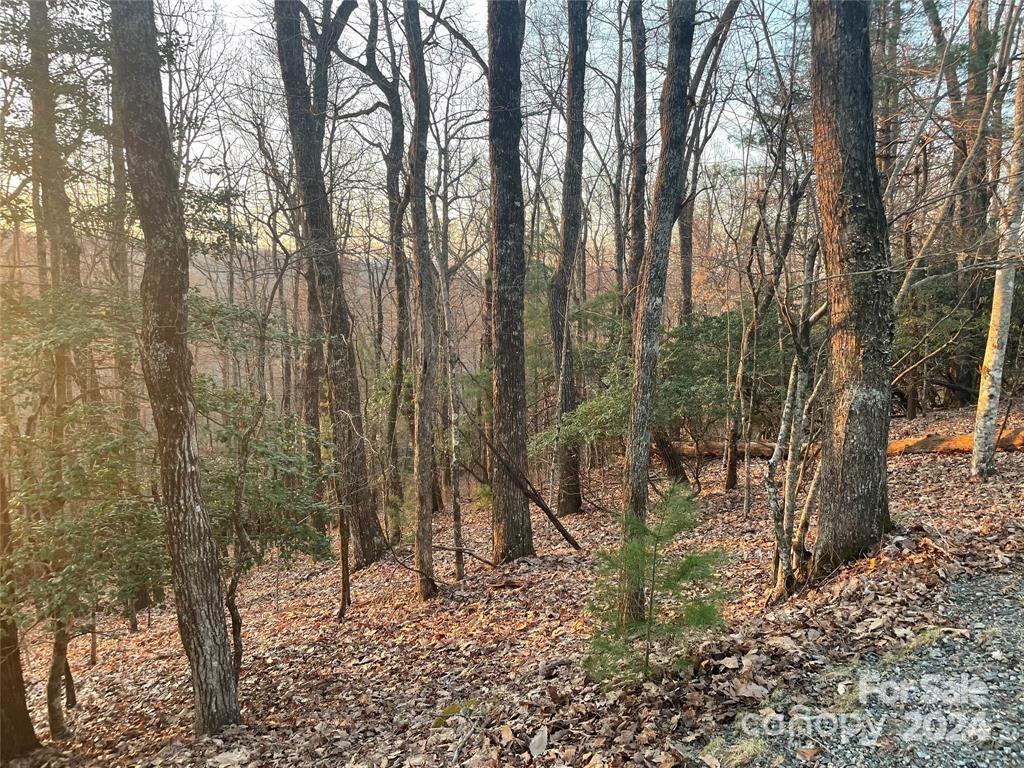 Connestee Falls - Land