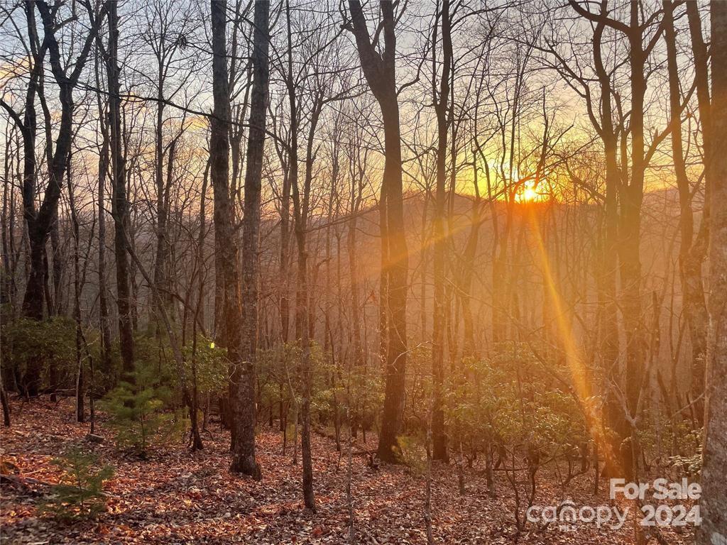 One of the few buildable lots with views. This lot is close to the main gate as well as the clubhouse. Build your dream home with wonderful sunset views in the wonderful community of Connestee Falls. As an owner in Connestee, you have access to over 20 miles of pristine hiking trails, 6 waterfalls, 4 lakes totaling over 230 acres of lakefrontage, an 18-hole designer golf course, pickle ball, tennis, pool facilities, and multiple top-notch food and beverage options.
