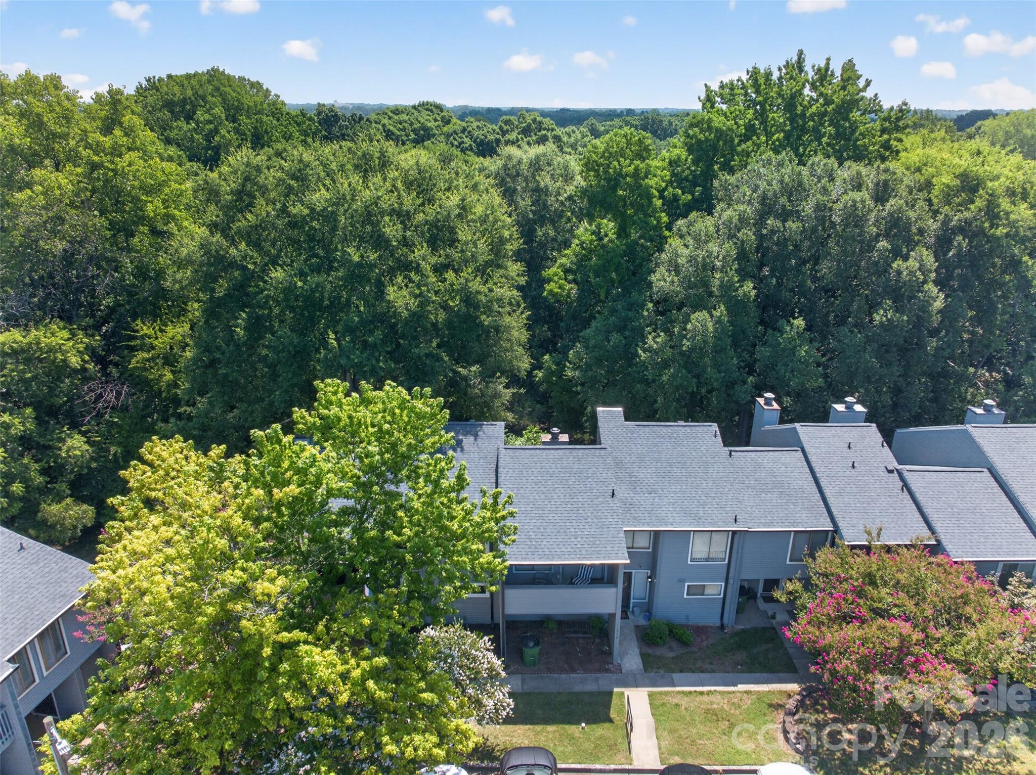 Carmel Chace - Residential