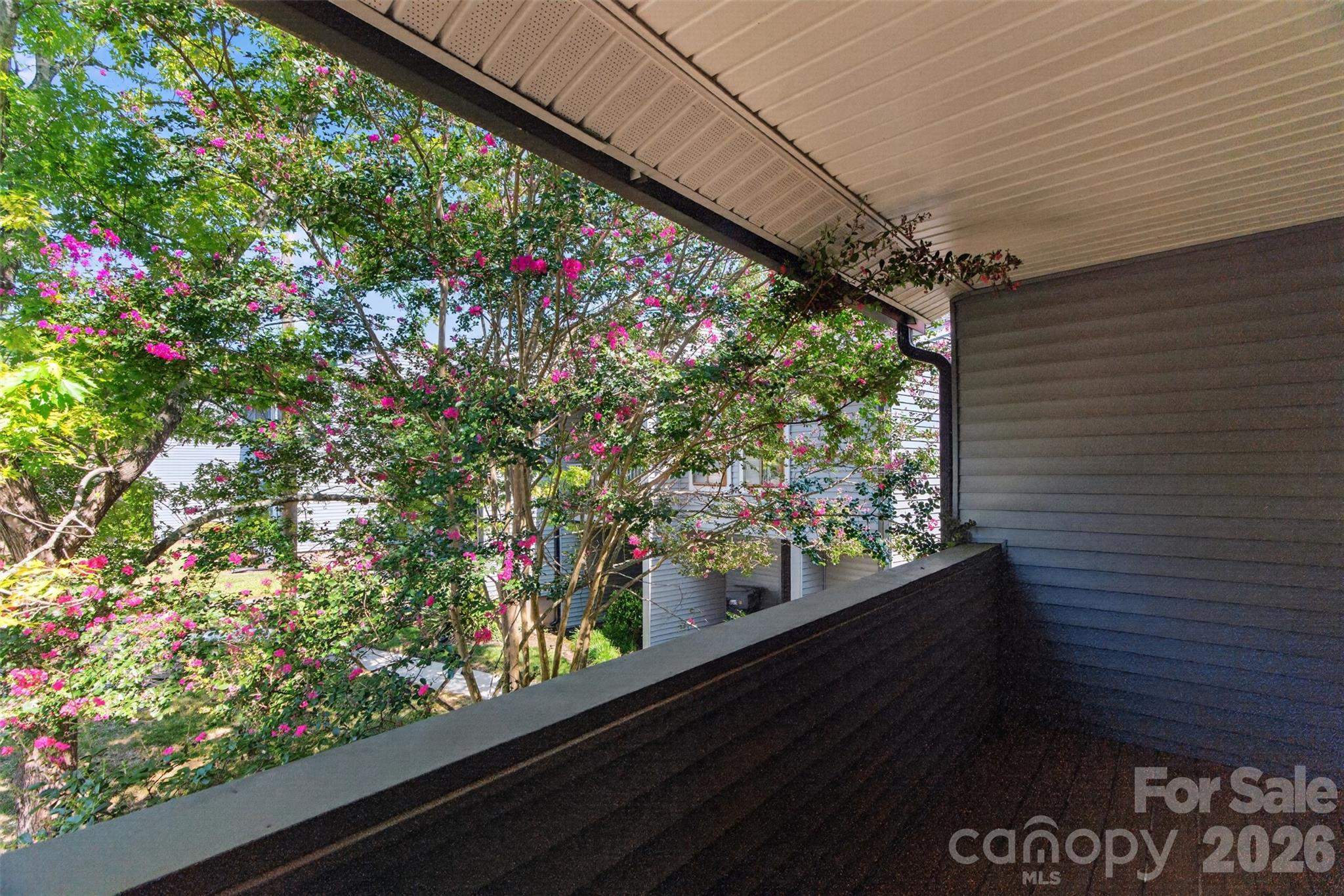 Carmel Chace - Residential