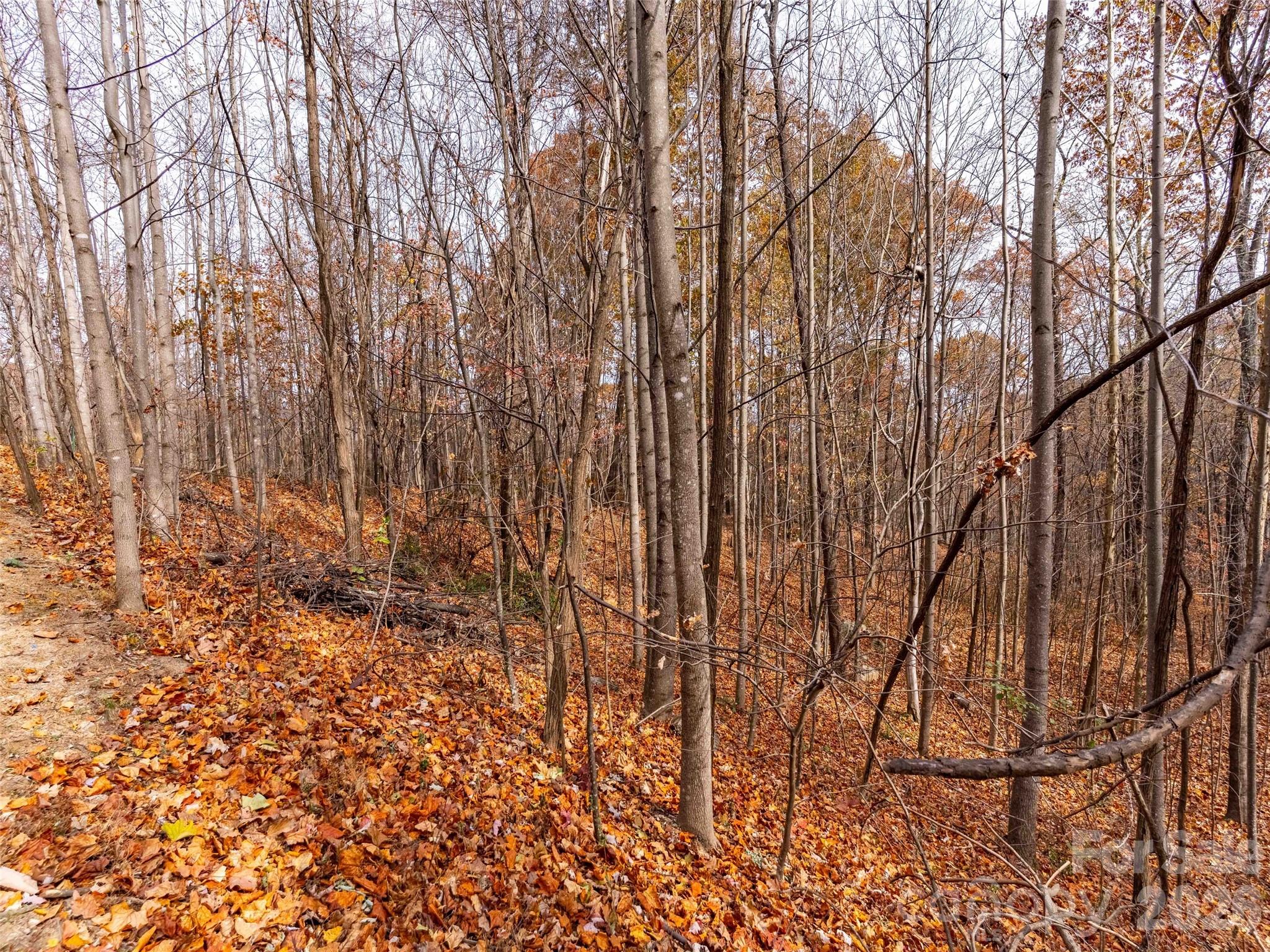 Brights Creek - Land