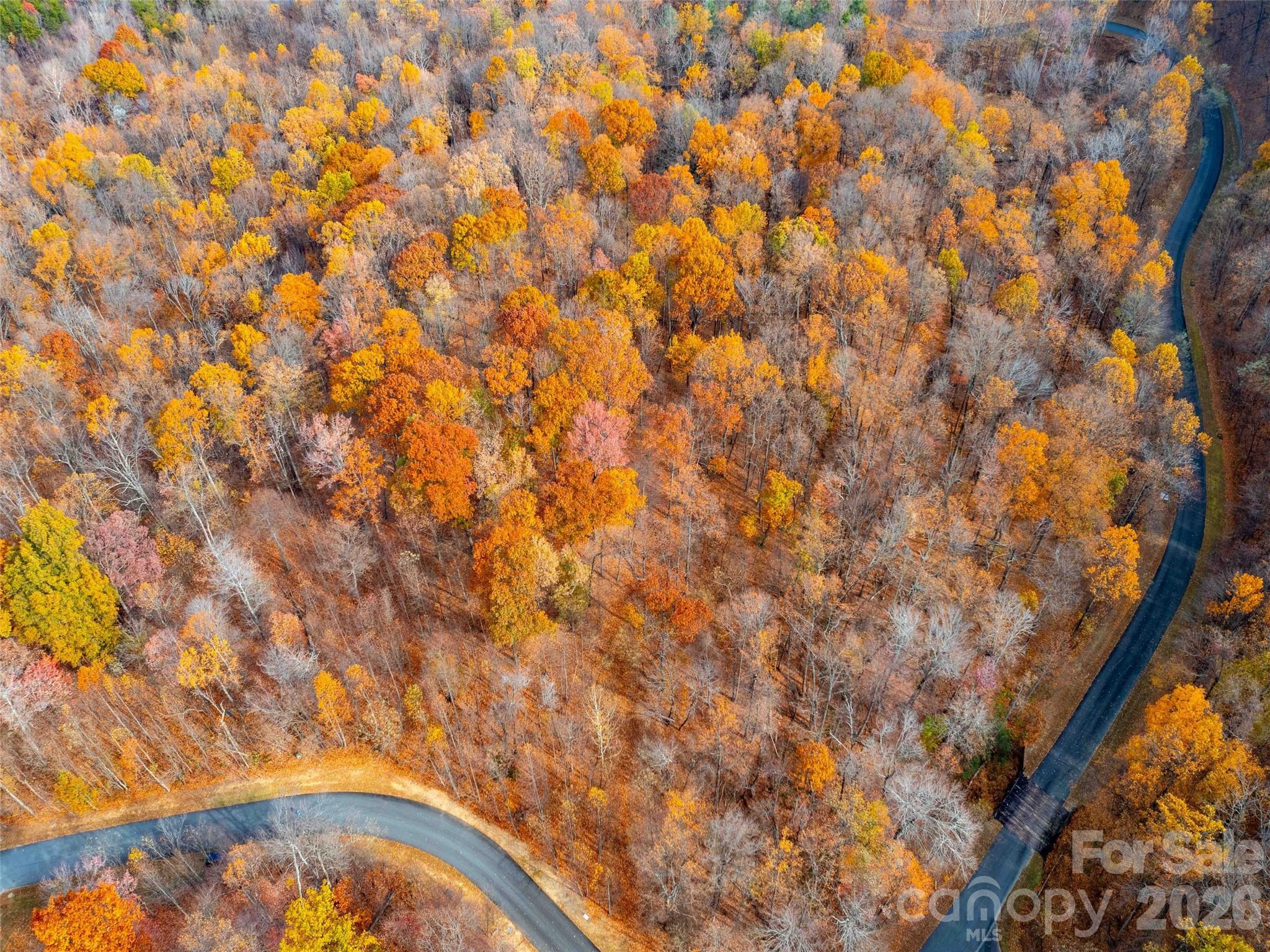 Brights Creek - Land