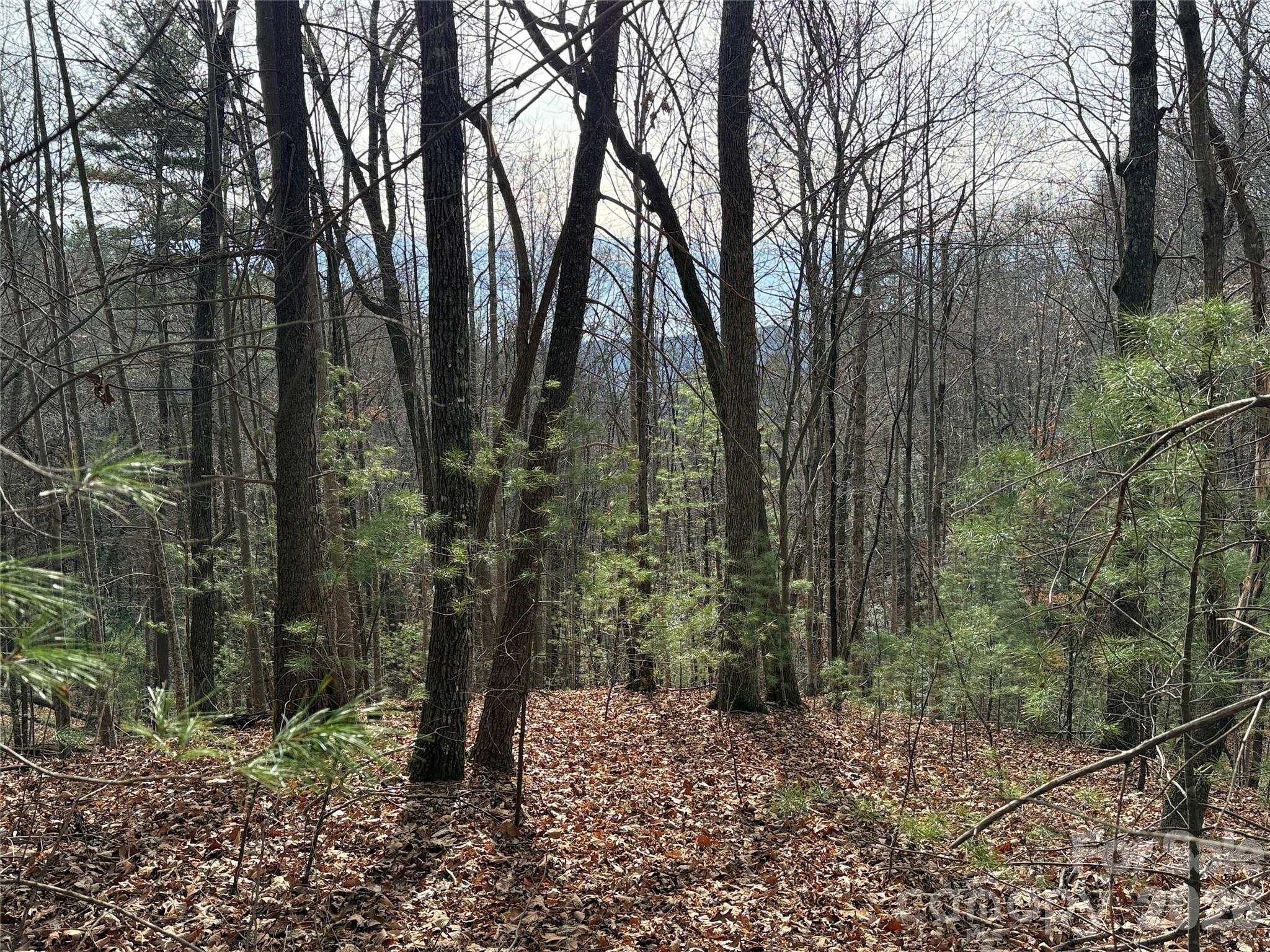 Buck Mountain - Land