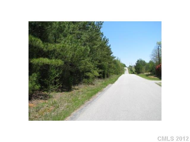 Hilltop Lot with big oaks, young pine and small meadow openings.  Small stream near one corner, gulley for possible pondsite, great paved frontage and wildlife