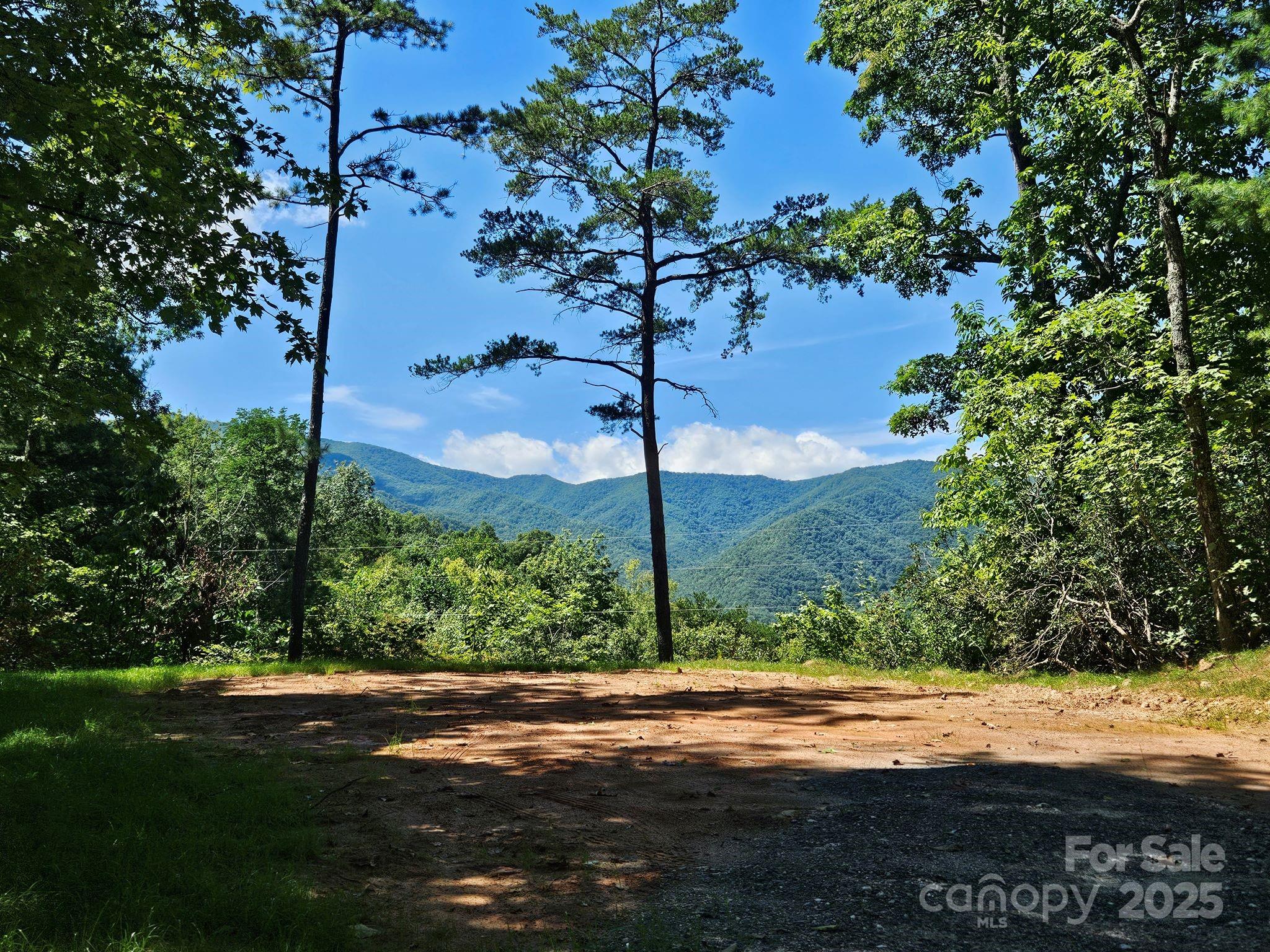 Blue Ridge Vistas - Land