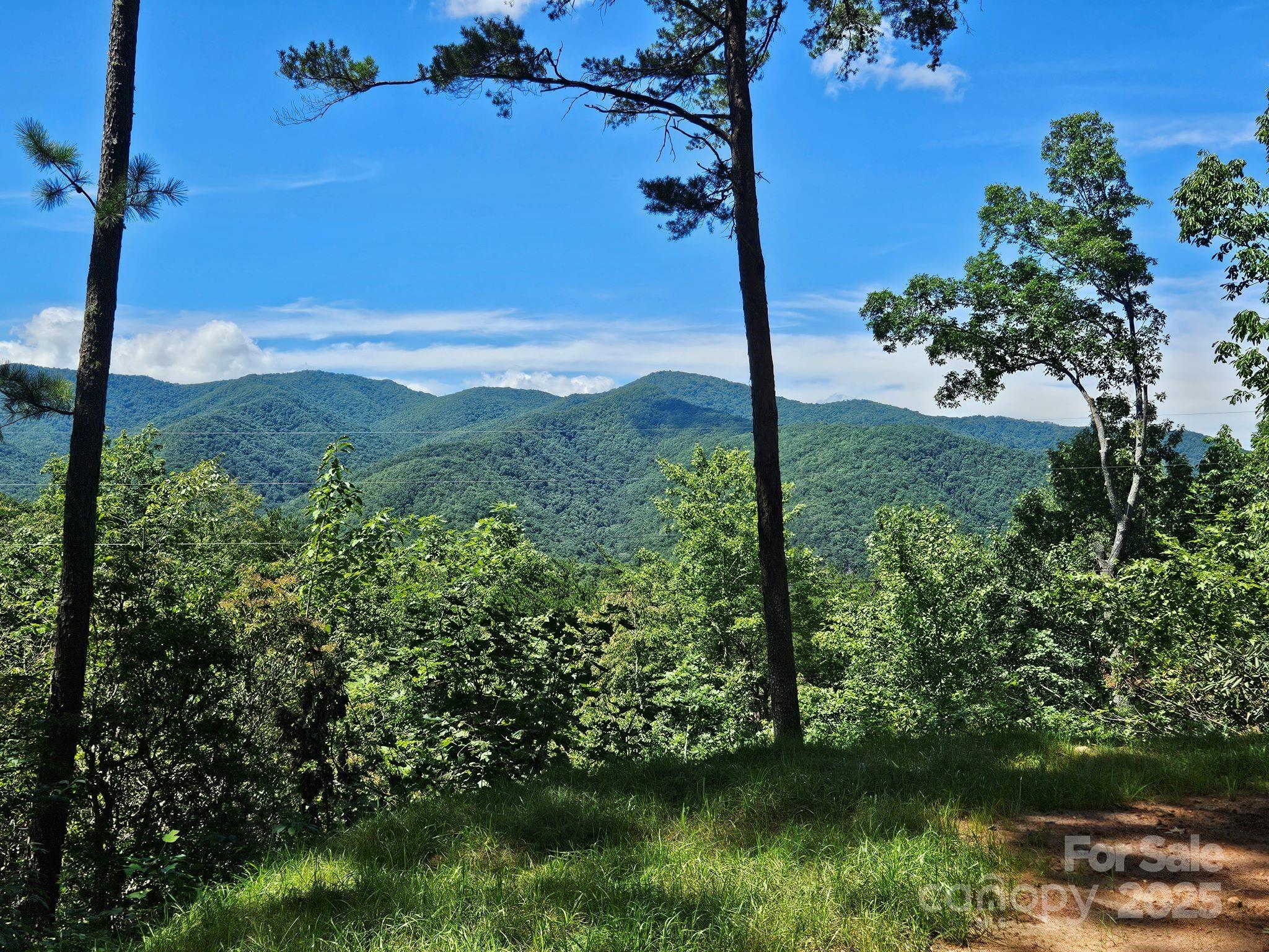 Blue Ridge Vistas - Land