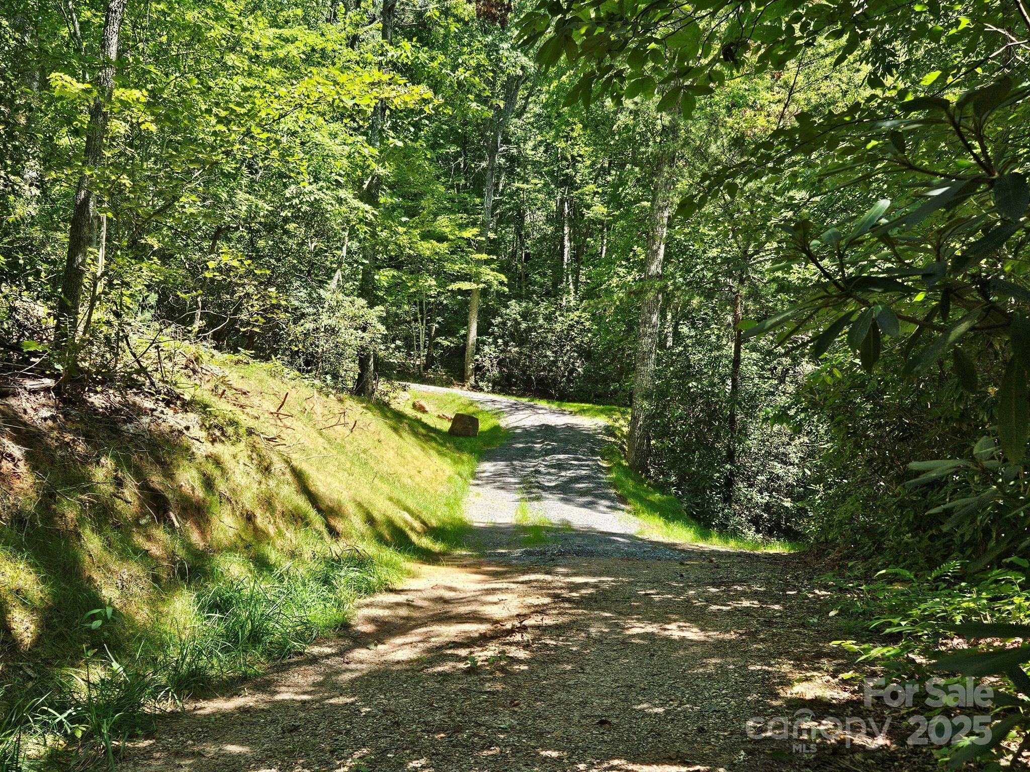 Blue Ridge Vistas - Land