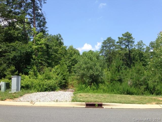 Handsmill On Lake Wylie - Land
