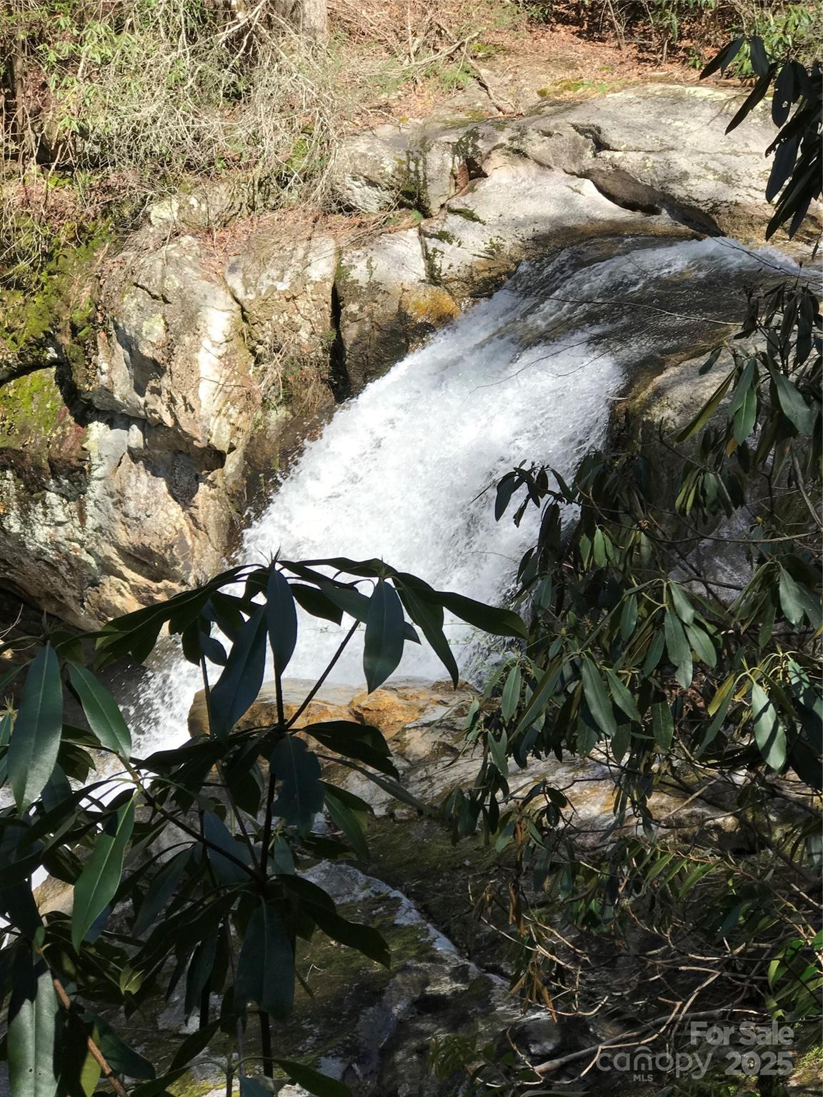 Oleta Falls - Land