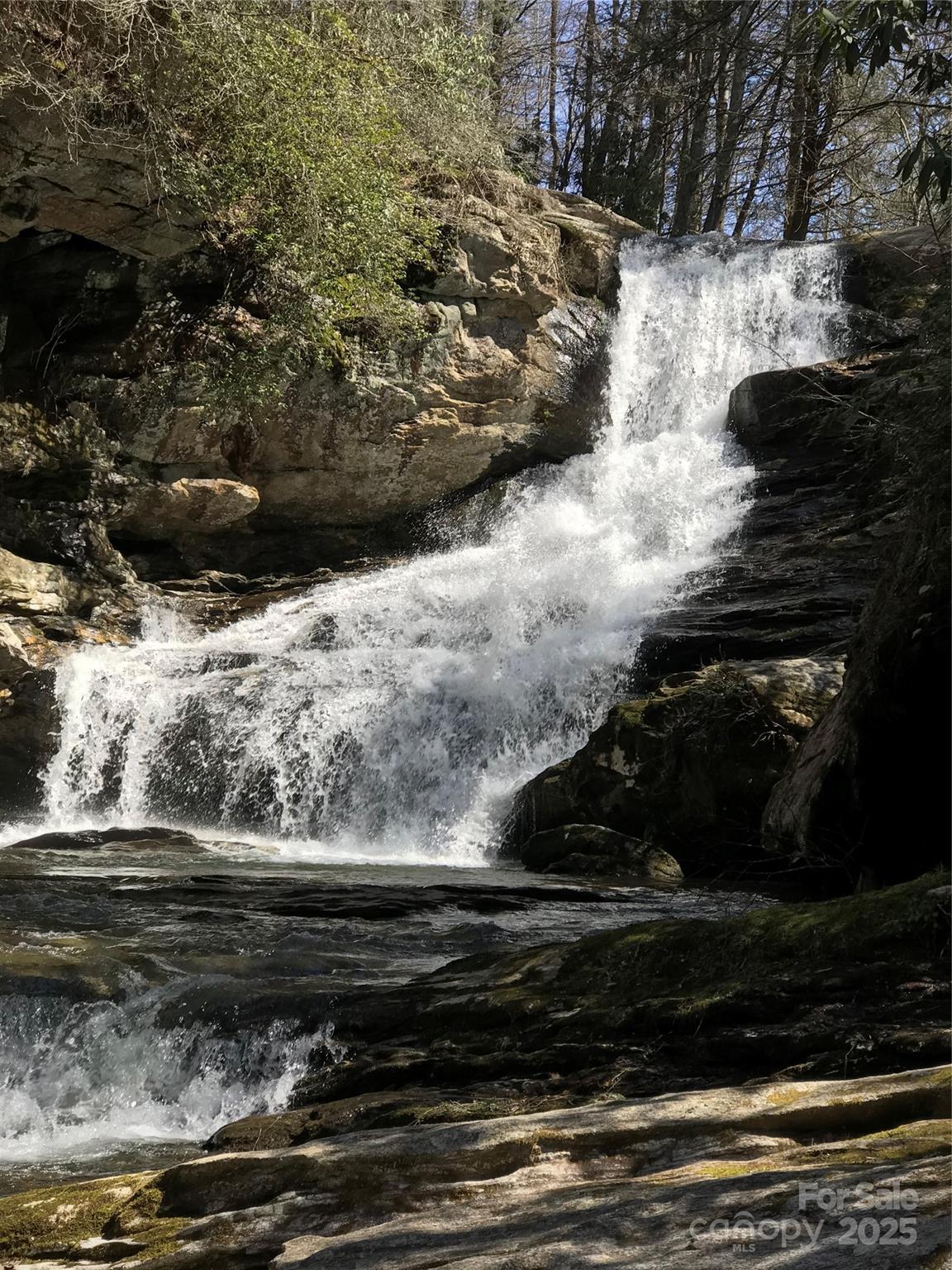 Oleta Falls - Land