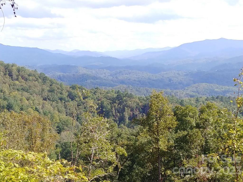 The Settlement at Thomas Divide - Land