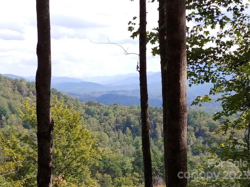 Easy access to an easy building site. Spectacular view. Community has an equine facility and pasture available for up to 28 horses, and borders the Great Smoky Mountains National Park for rear round, riding, biking and hiking. Fly fishing in the Creeks. Small and friendly community for the lover of the outdoors. Listing agent is a part owner of the property.