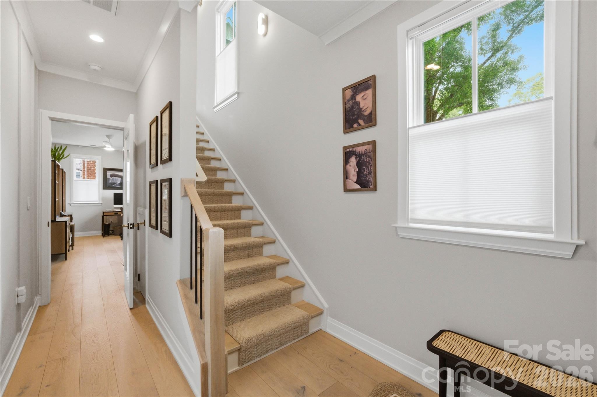 Selwyn Walk - Residential