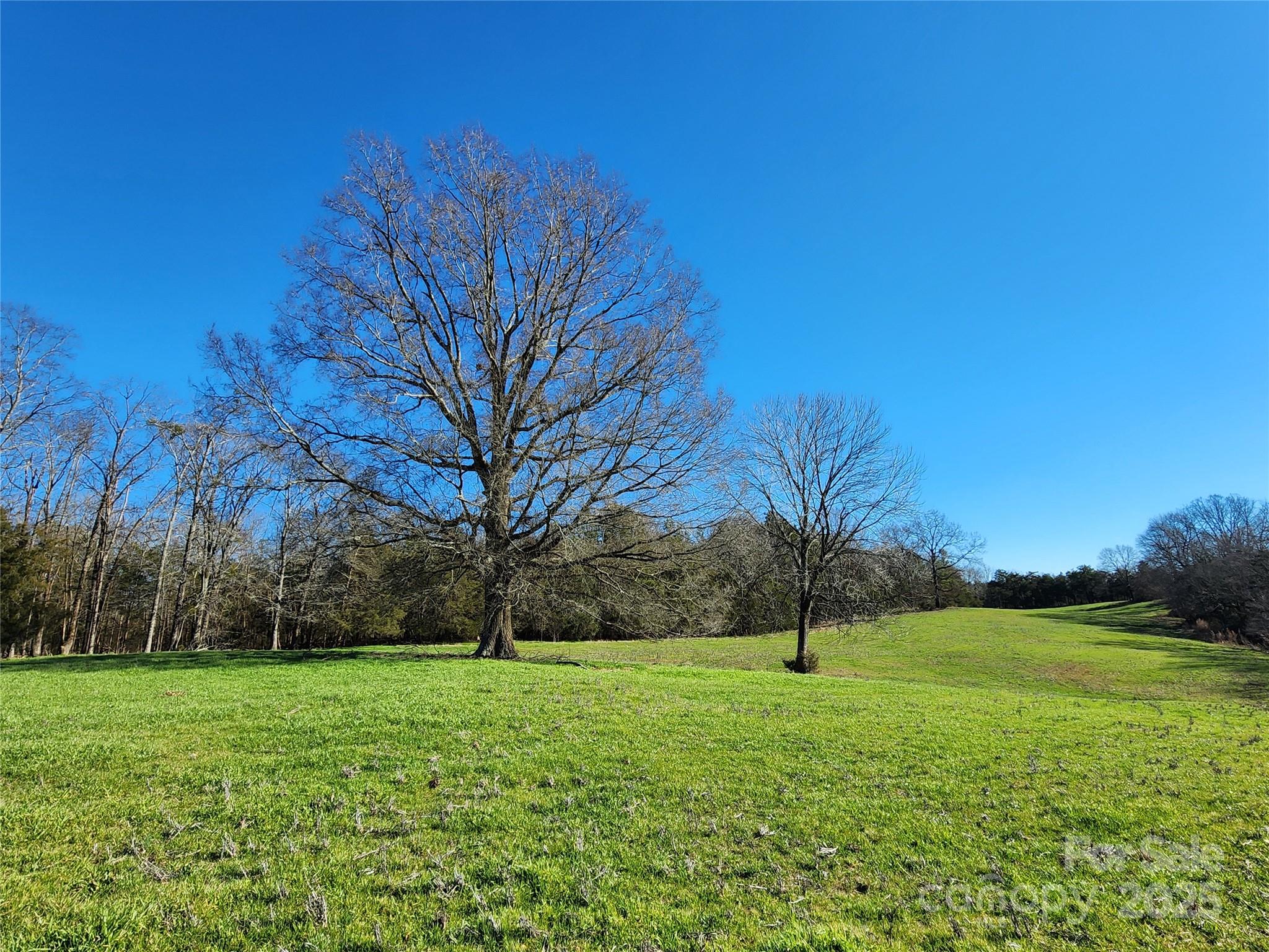 59 +/- acre portion of The Farm at Fork Hill Crossroads, a sprawling farm that seamlessly blends natural beauty with rural living. This section of the farm is mostly cultivated land with a beautiful stream dividing the property into 3 sides, the adjoining property will be +/- 60 acres and a 27 +/- acre parcel. The dividing stream eventually flows into Bakers Creek on the rear of the property and either side could be an ideal equestrian or cattle farm with development potential plus numerous stunning homesites. The 59 +/- acre side (pending buyer paid survey & mutually agreeable boundary lines) will have road frontage to create your new entrance and driveway. The property is conveniently situated 8 miles outside of Lancaster just off of Flat Creek Rd and about an hour from either Charlotte or Columbia. This rural escape offers access to either I-77 or I-20 both about 30 miles away or head to the beaches in 3 hours. The address is not assigned, listed for GPS location only.