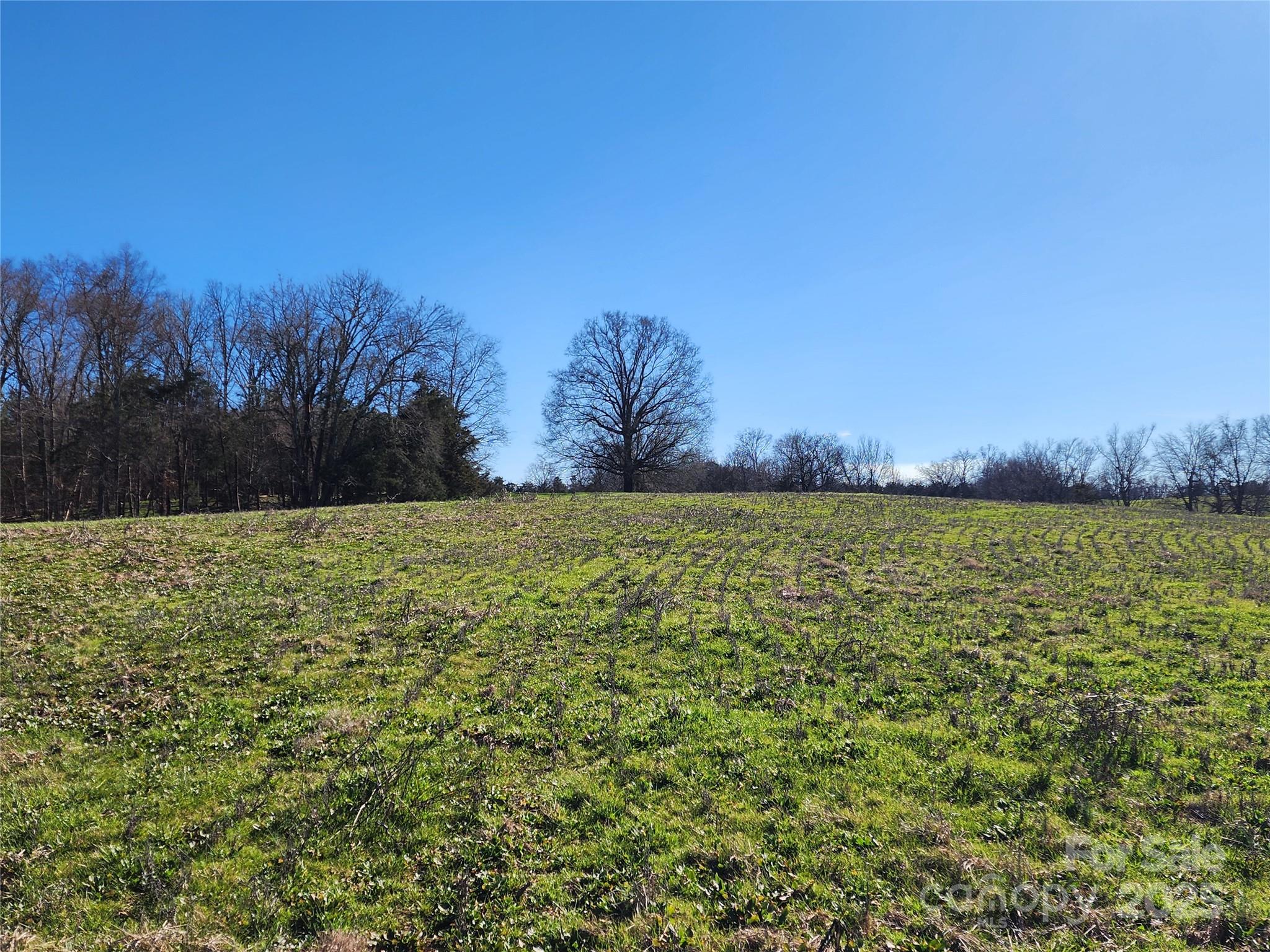 Flat Creek - Land