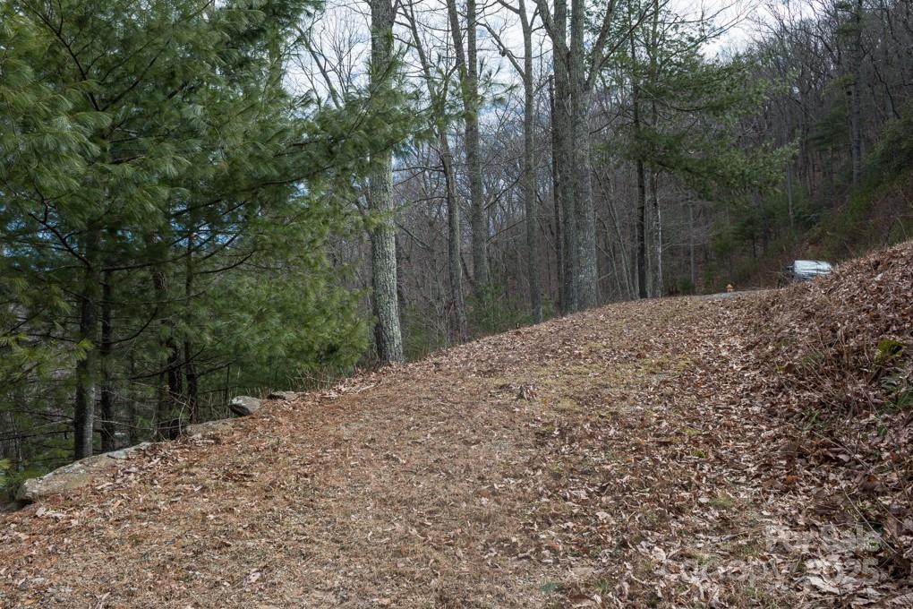 Wildcat Cliffs - Land