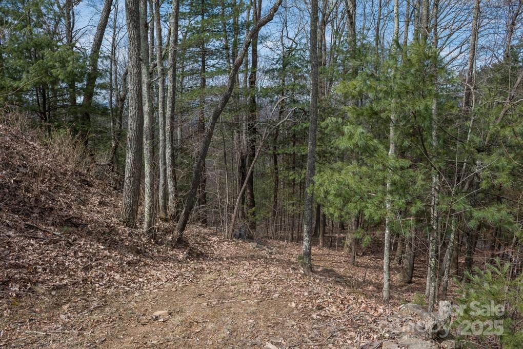 Wildcat Cliffs - Land