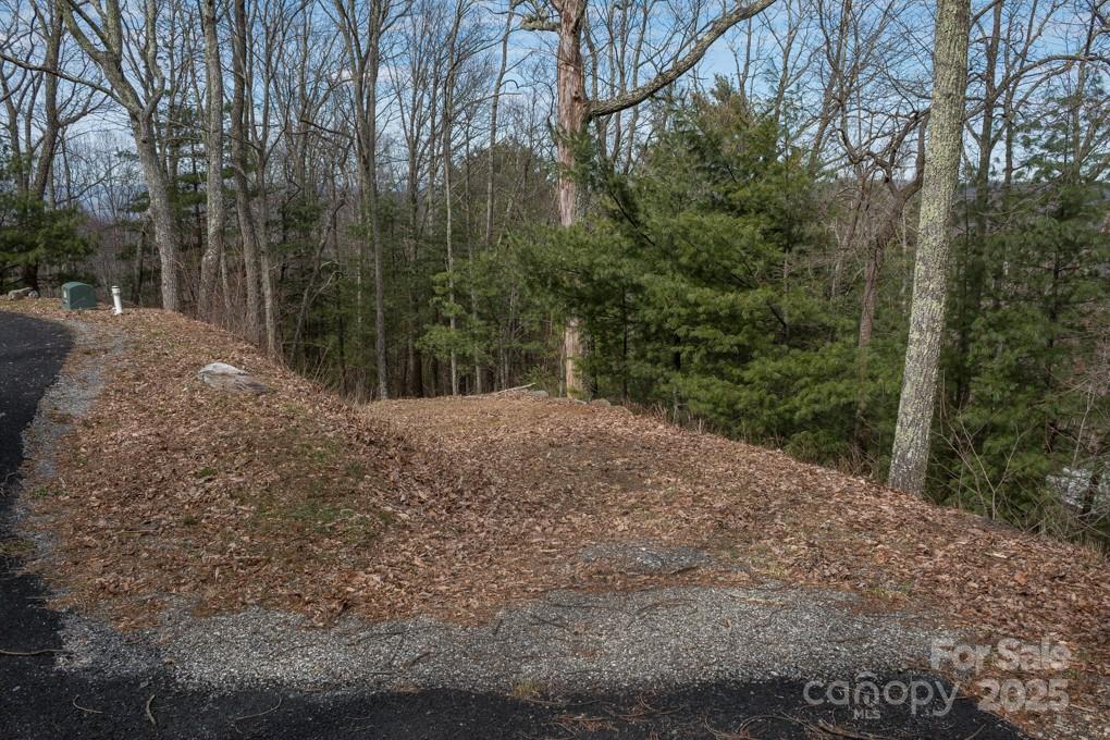 Wildcat Cliffs is a private gated community in treasured North Asheville. Take advantage now of this opportunity in Phase II of Wildcat Cliffs to own your own lot with truly magnificent views. Envision the option to finally build the home-of-your-dreams in this prestigious neighborhood. Sited a mere 3 miles from highly acclaimed downtown Asheville, just minutes to the celebrated Blue Ridge Parkway, and only moments from the esteemed Mountains to the Sea Trail, this life and lifestyle await.