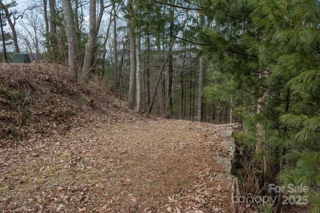 Wildcat Cliffs - Land