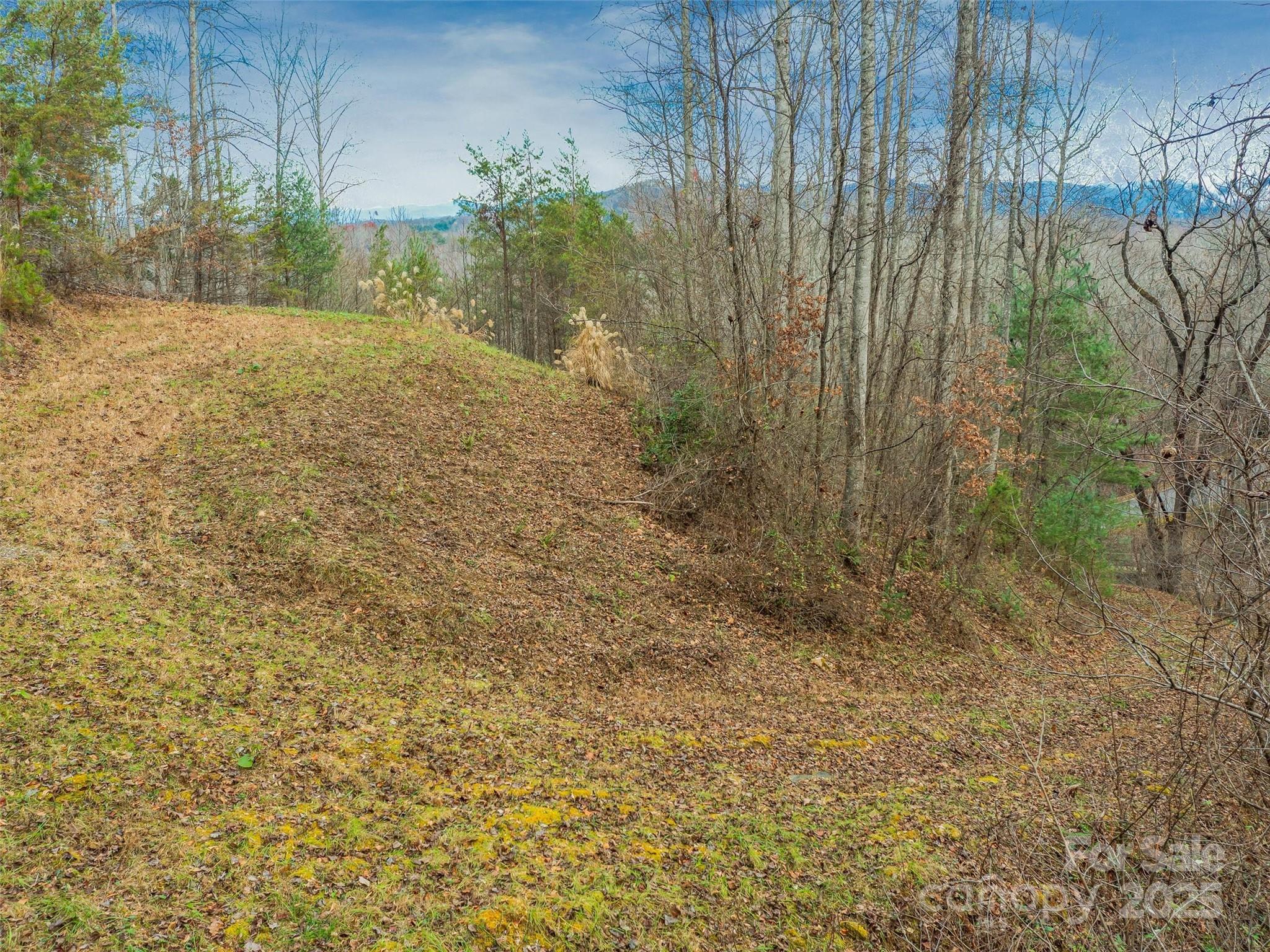 The Cliffs at Walnut Cove - Land