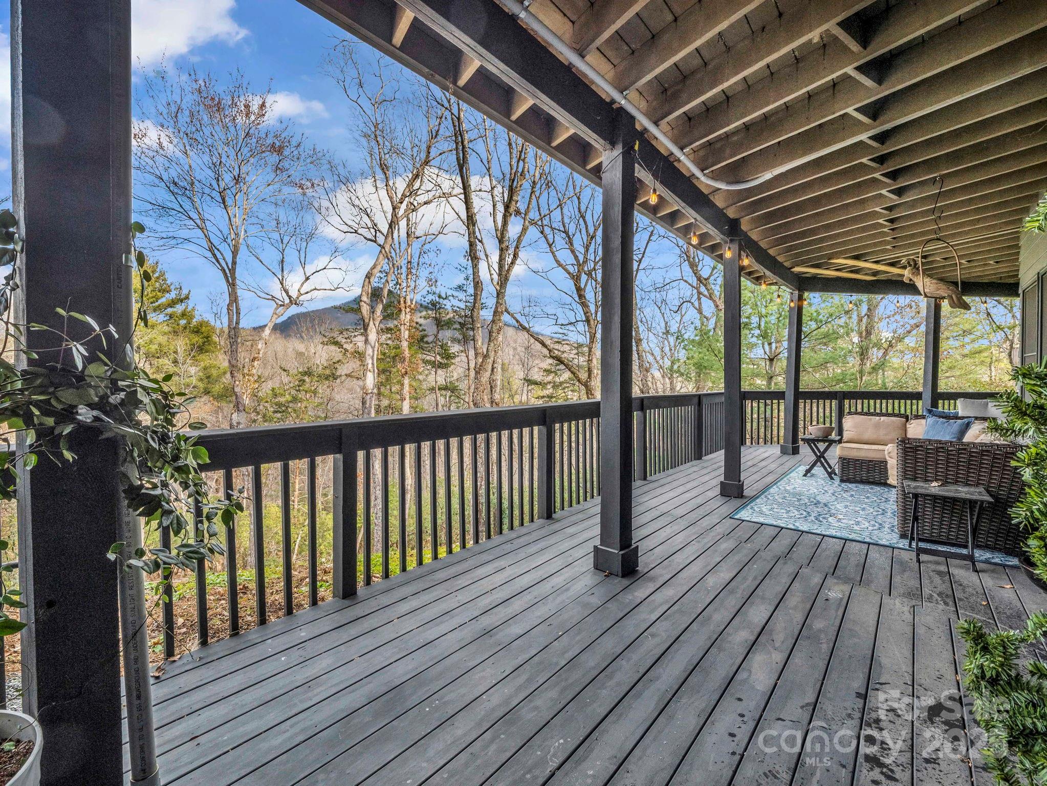 Rumbling Bald on Lake Lure - Residential