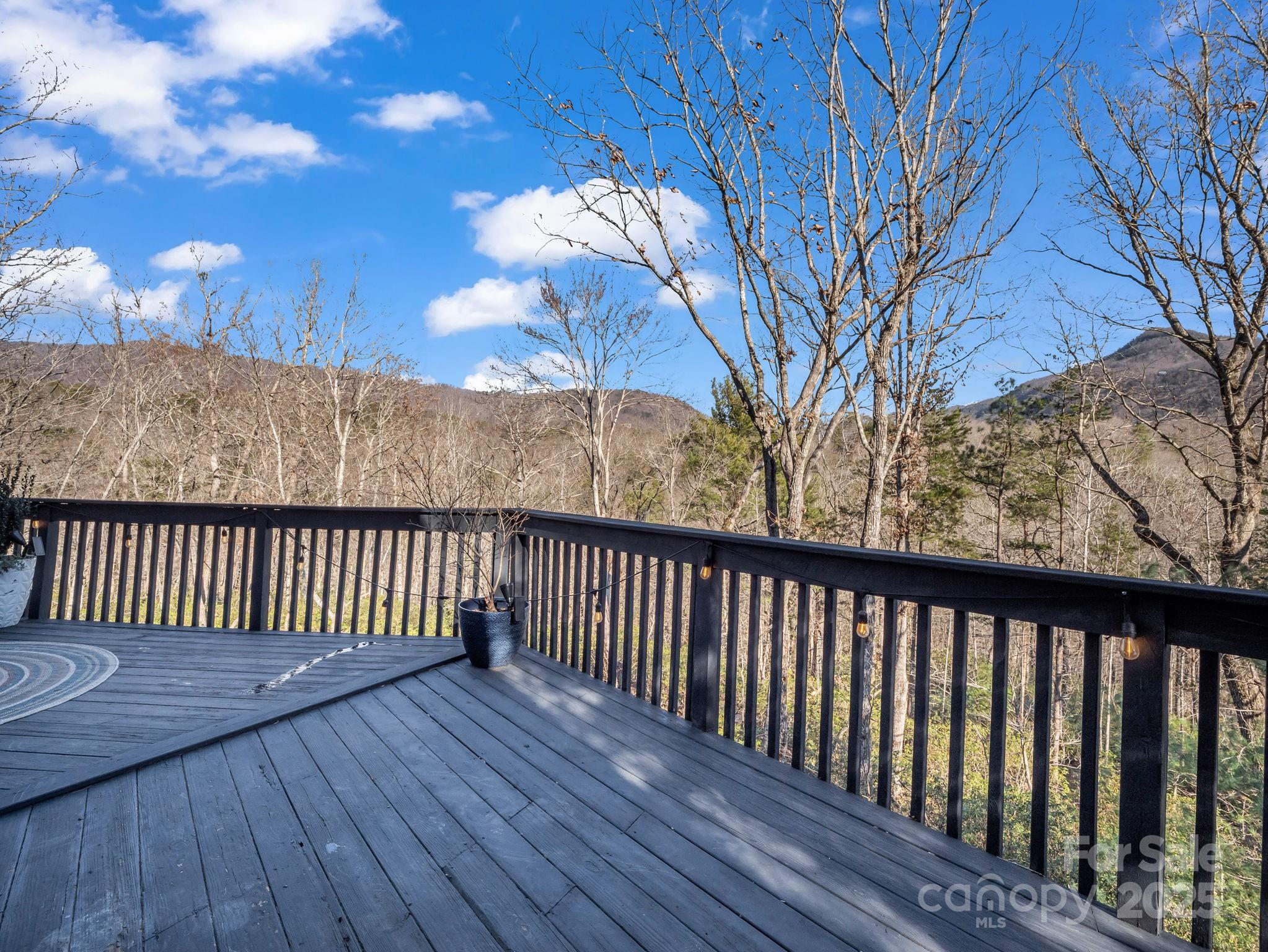 Rumbling Bald on Lake Lure - Residential