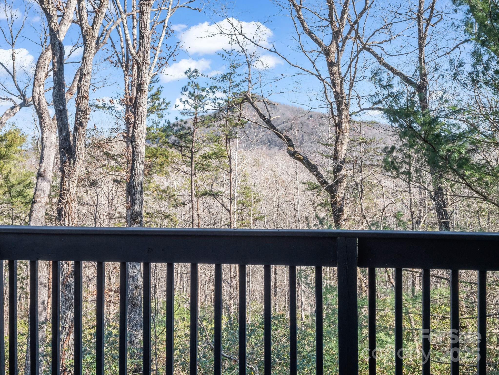 Rumbling Bald on Lake Lure - Residential