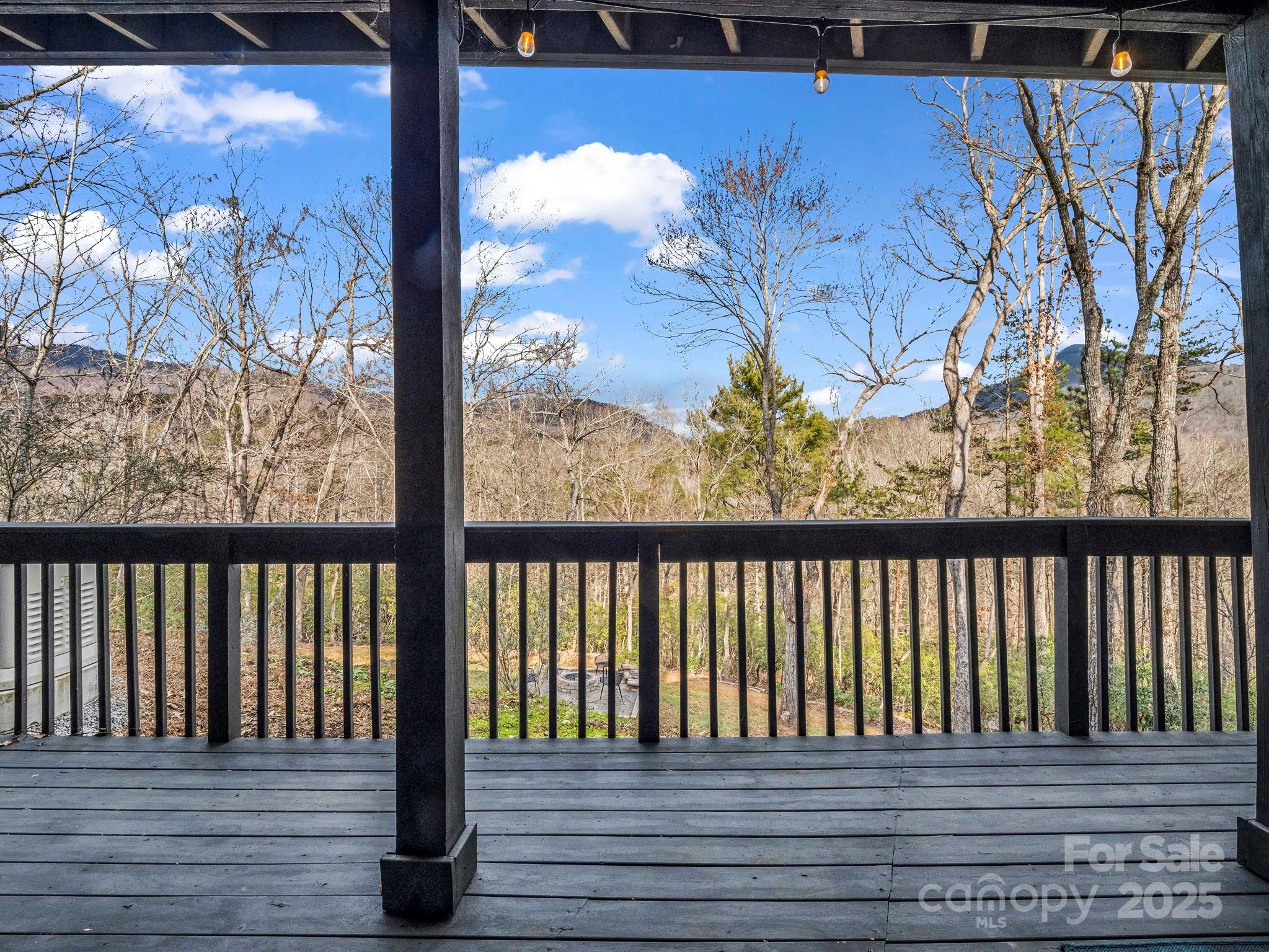 Rumbling Bald on Lake Lure - Residential