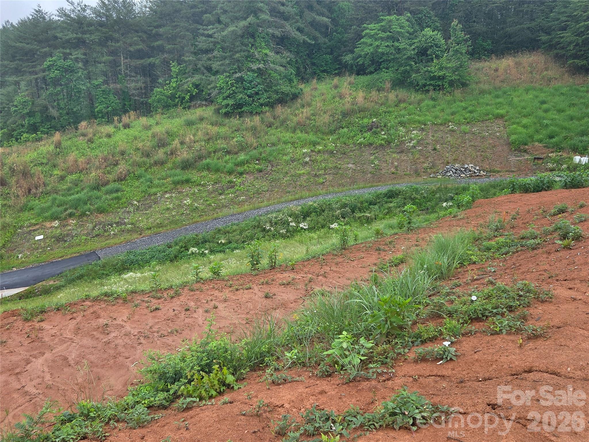 Build-Ready Lot located less than 1/2 mile to the Mars Hill exit (Exit 11). Enjoy quick access to local favorites in charming downtown Mars Hill and the convenience of a short commute to Asheville. 1.01 acre lot with septic system already installed and inspected. Underground Power lines have been run to the lot. Plat approved and approved erosion control permit. Lots 2C and 2D also available. Lots are partially graded.
