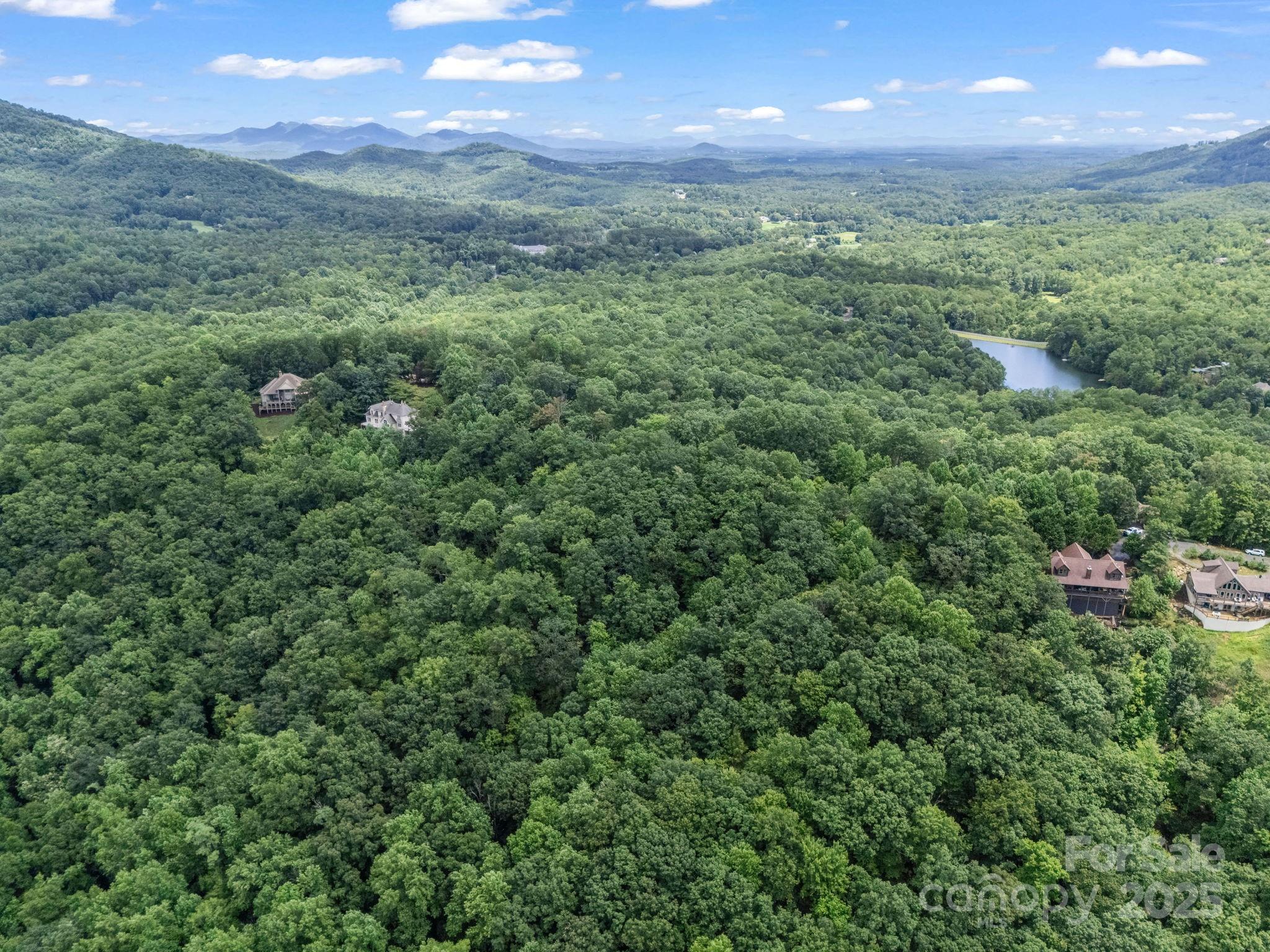 Rumbling Bald on Lake Lure - Land