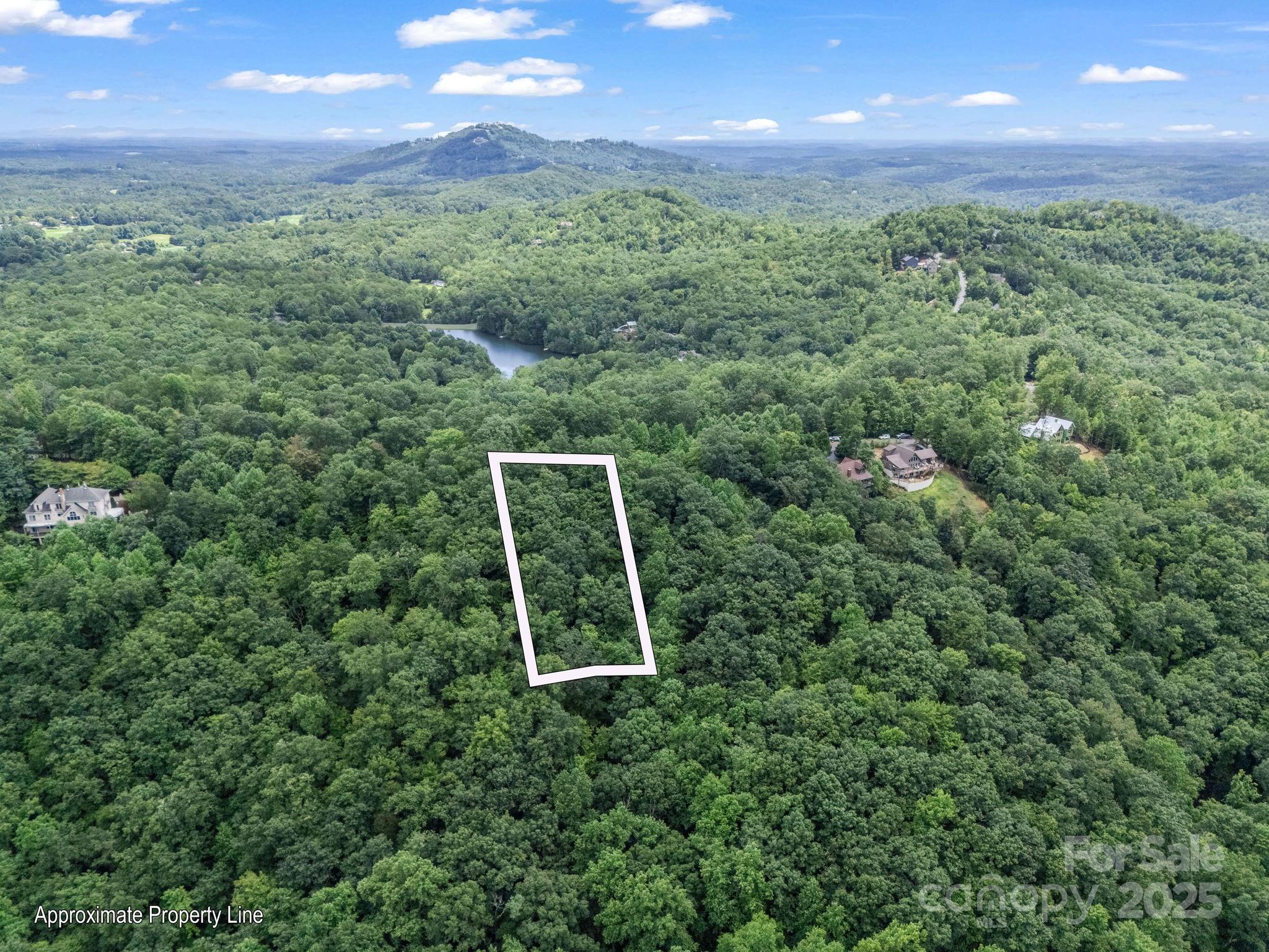 Rumbling Bald on Lake Lure - Land