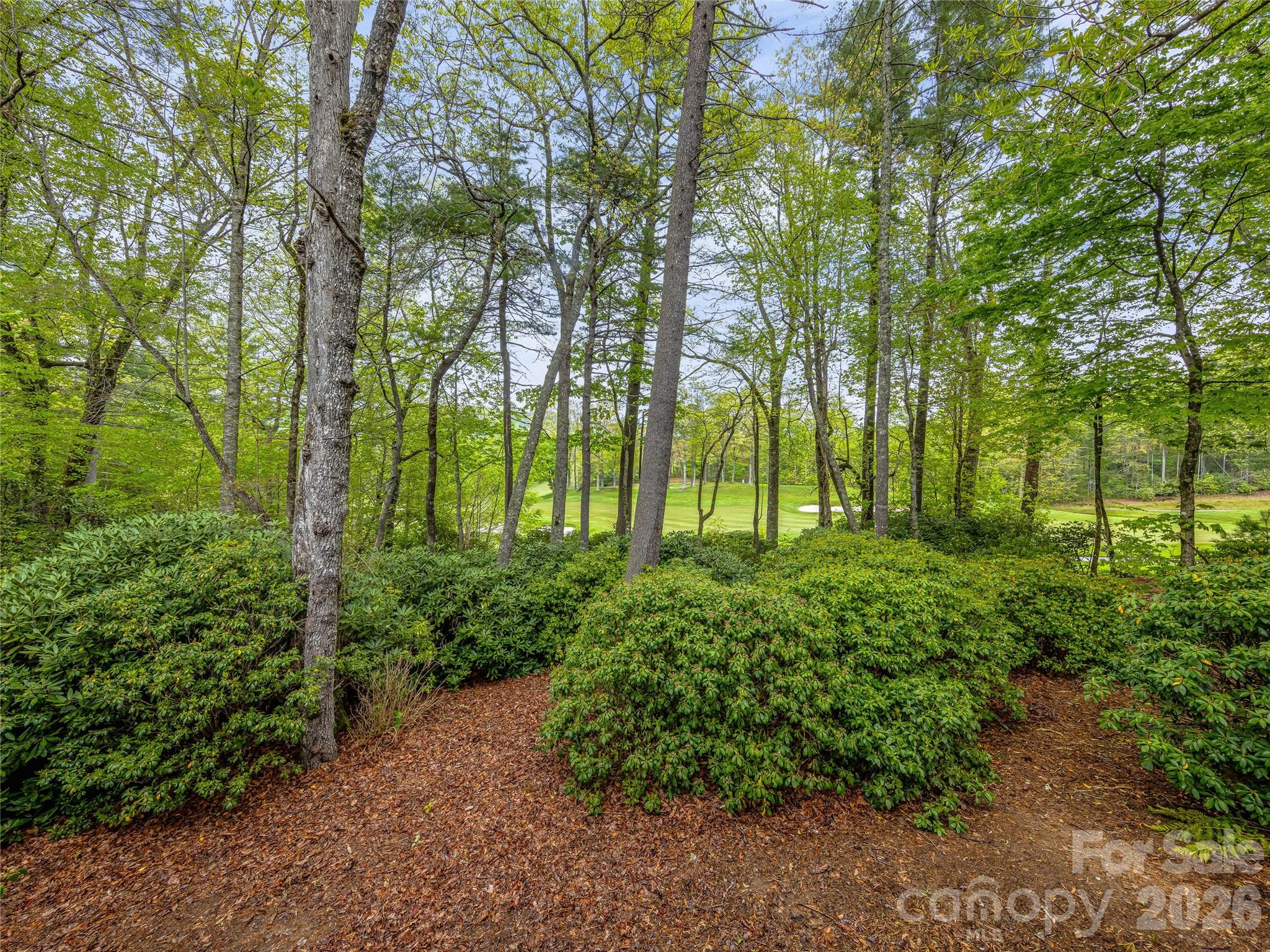 Lake Toxaway Estates - Residential