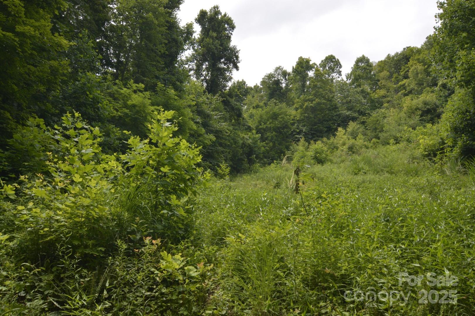 Red Wolf Run - Land