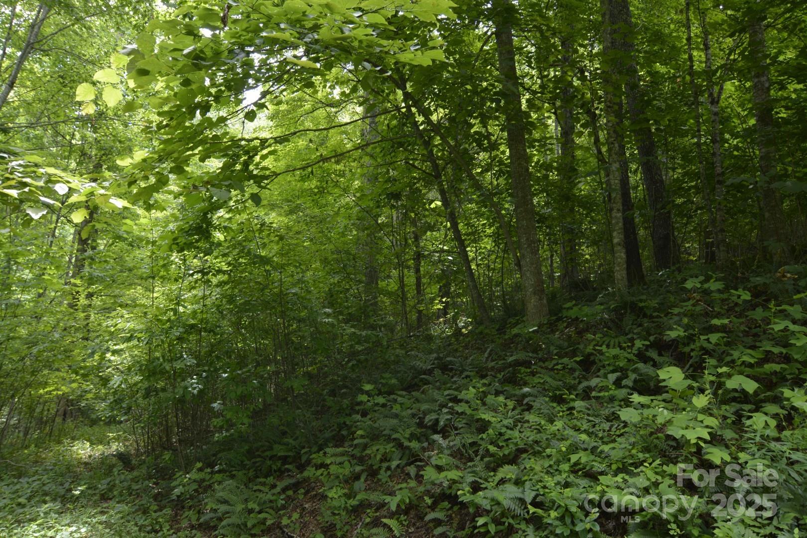 Red Wolf Run - Land