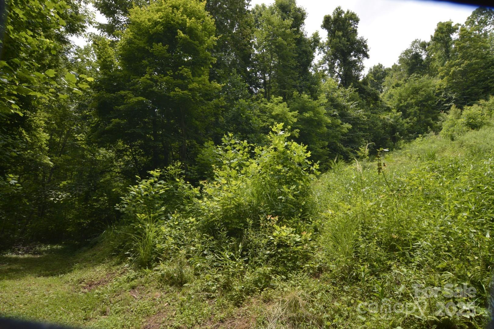 Red Wolf Run - Land