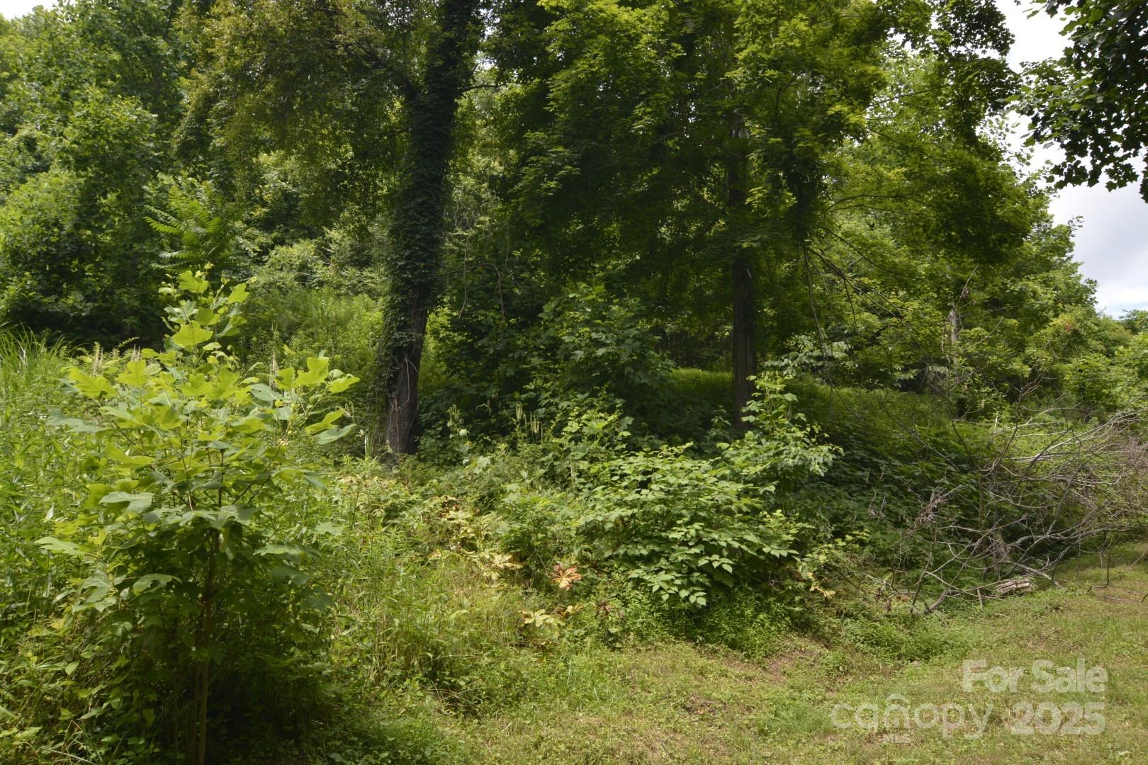 Red Wolf Run - Land