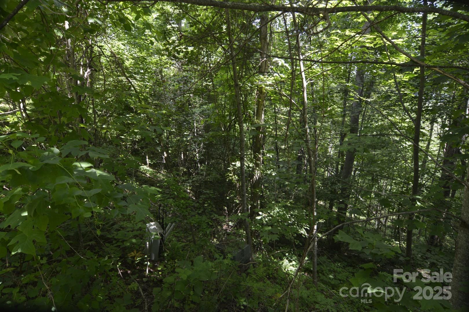 Red Wolf Run - Land