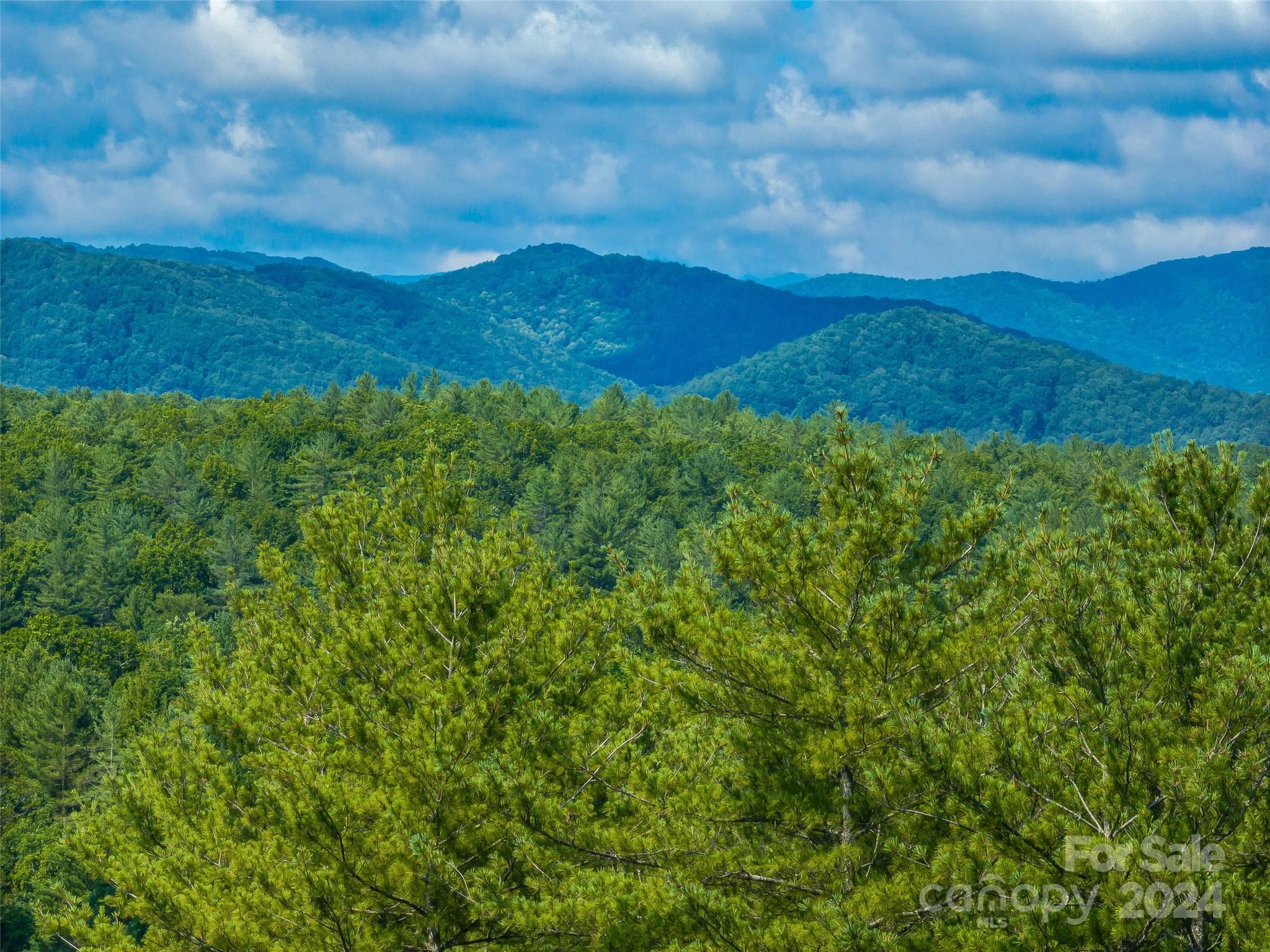 Ramble Biltmore Forest - Land