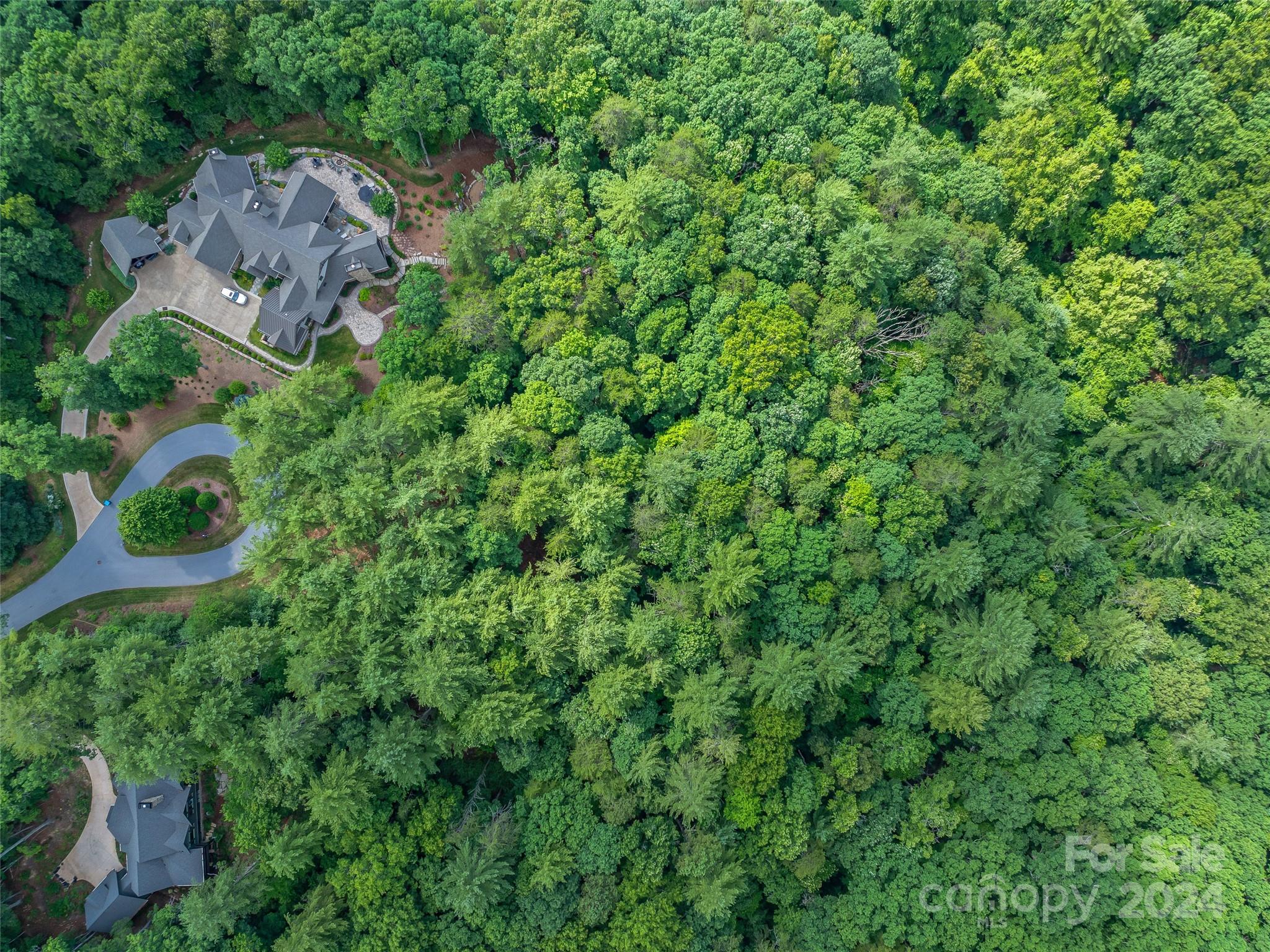 Ramble Biltmore Forest - Land