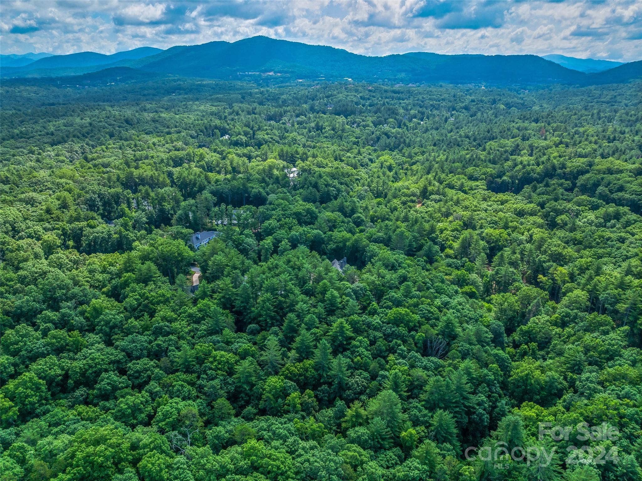 Ramble Biltmore Forest - Land