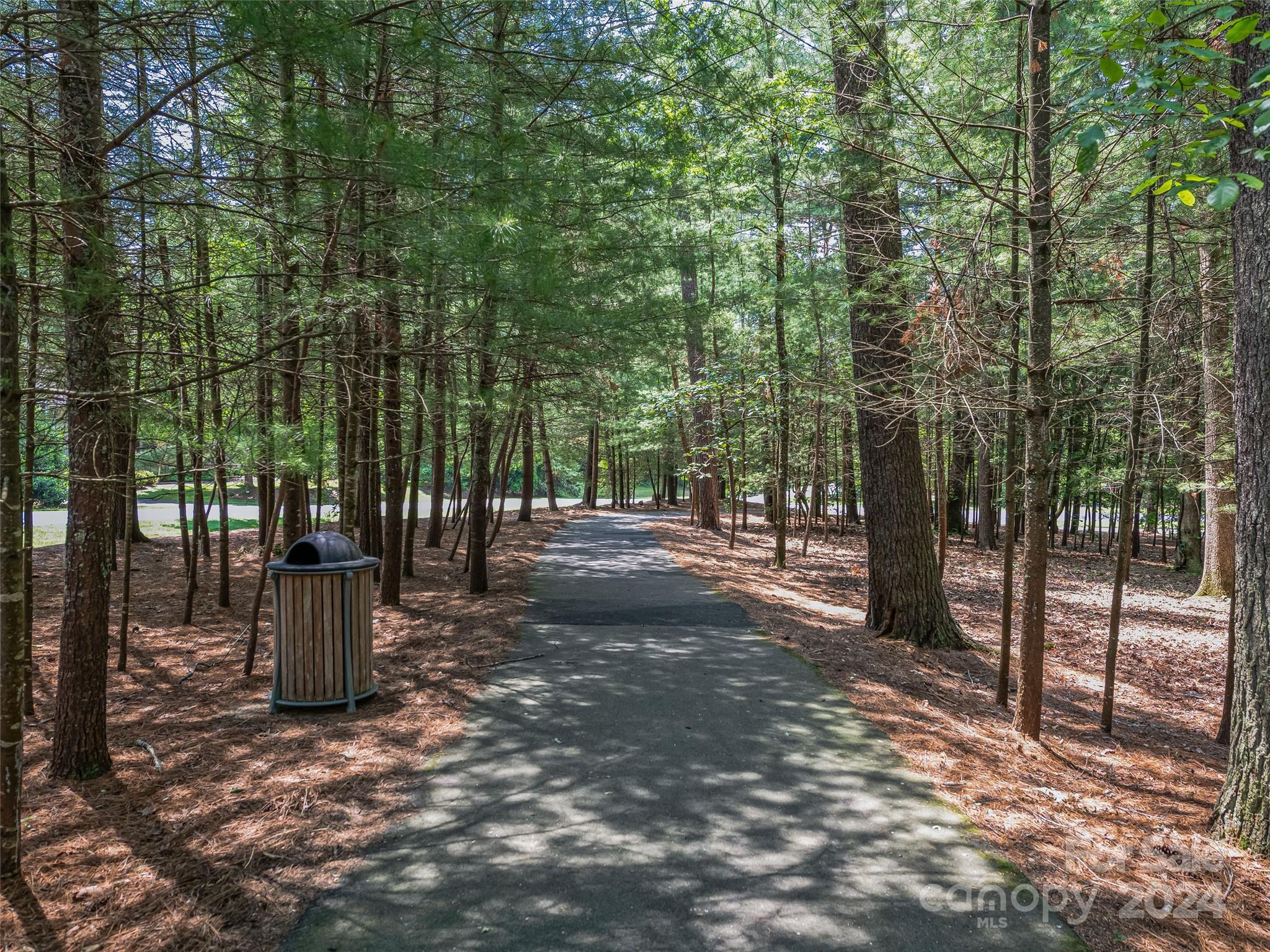 Ramble Biltmore Forest - Land