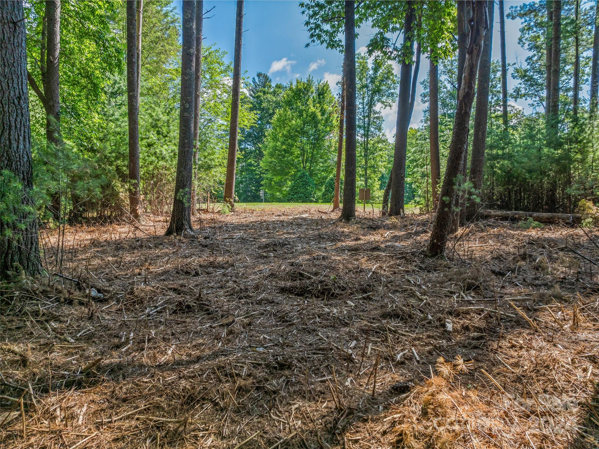 Ramble Biltmore Forest - Land